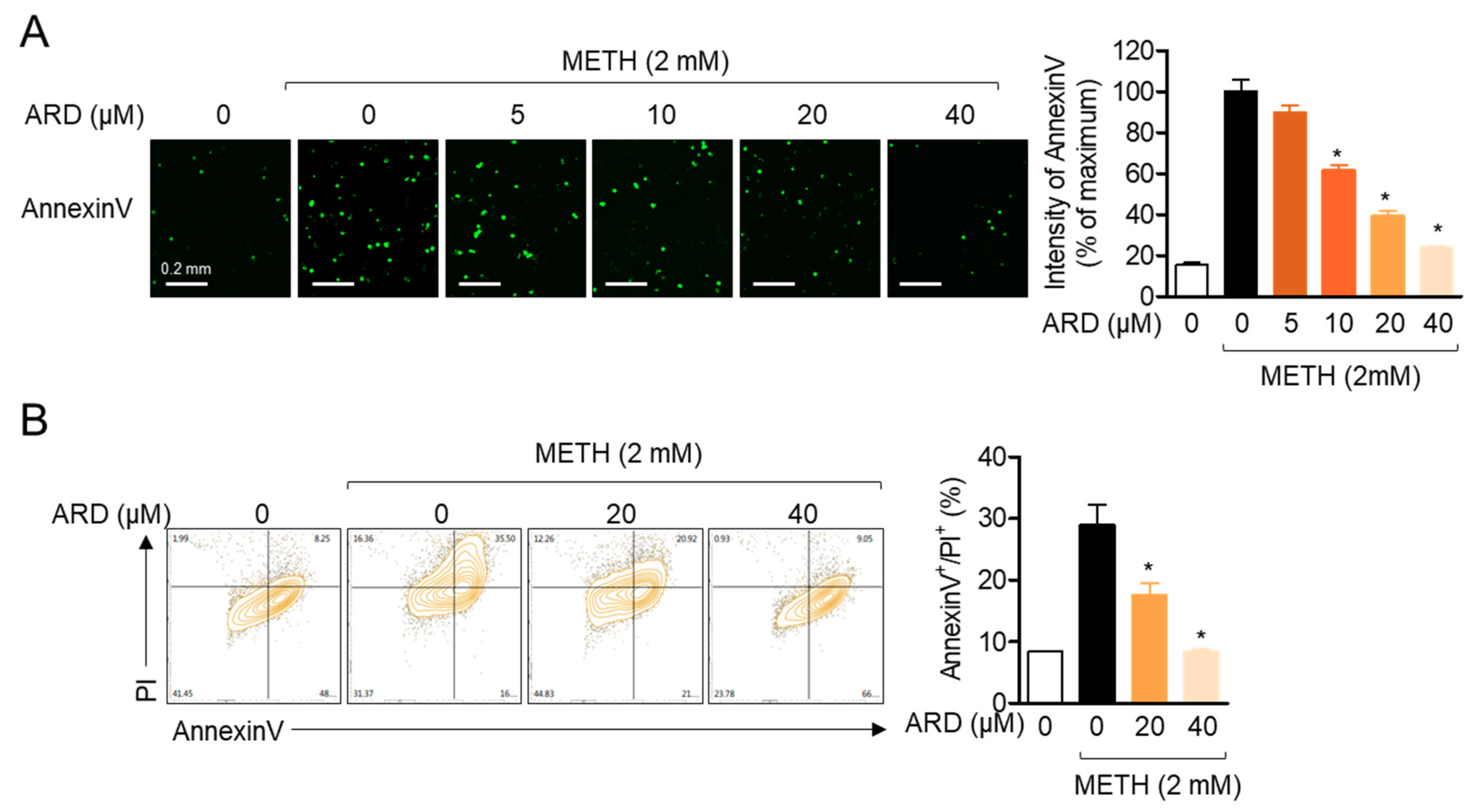 Ijms 22 02274 g007 Ijms 22 02274 g007