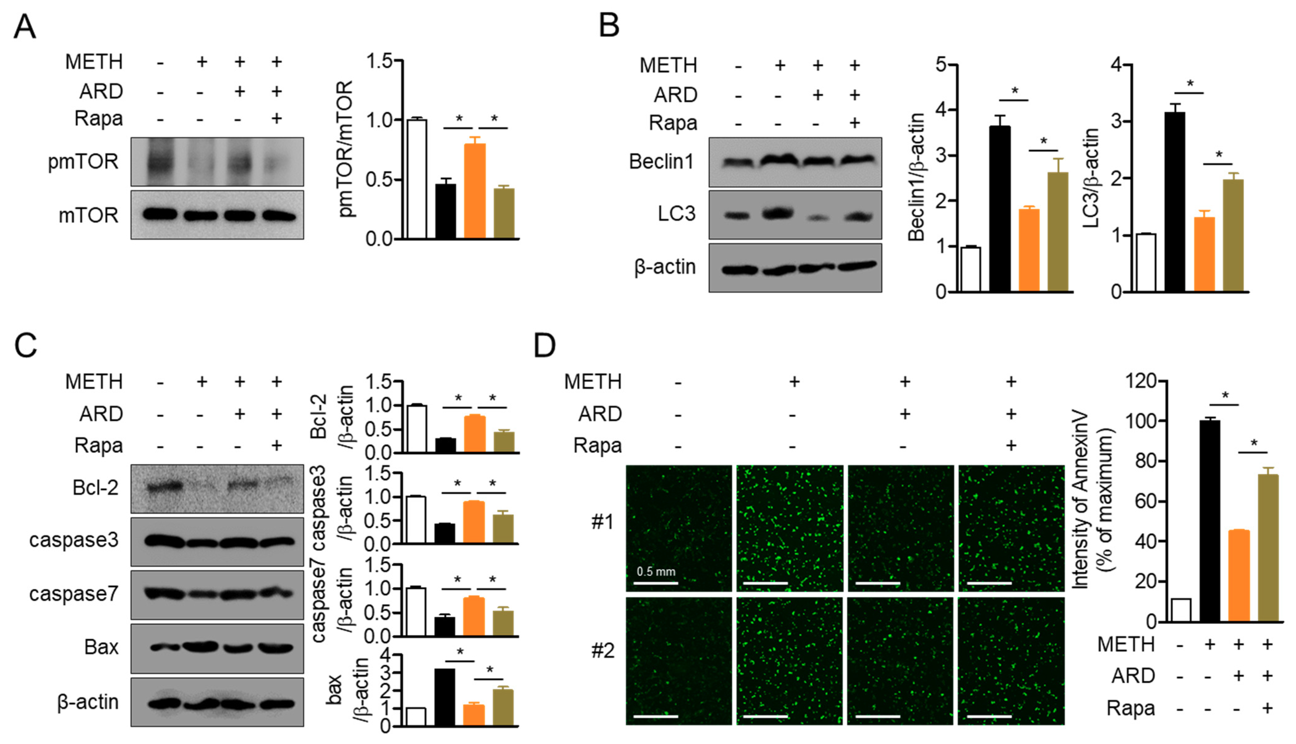 Ijms 22 02274 g009 Ijms 22 02274 g009