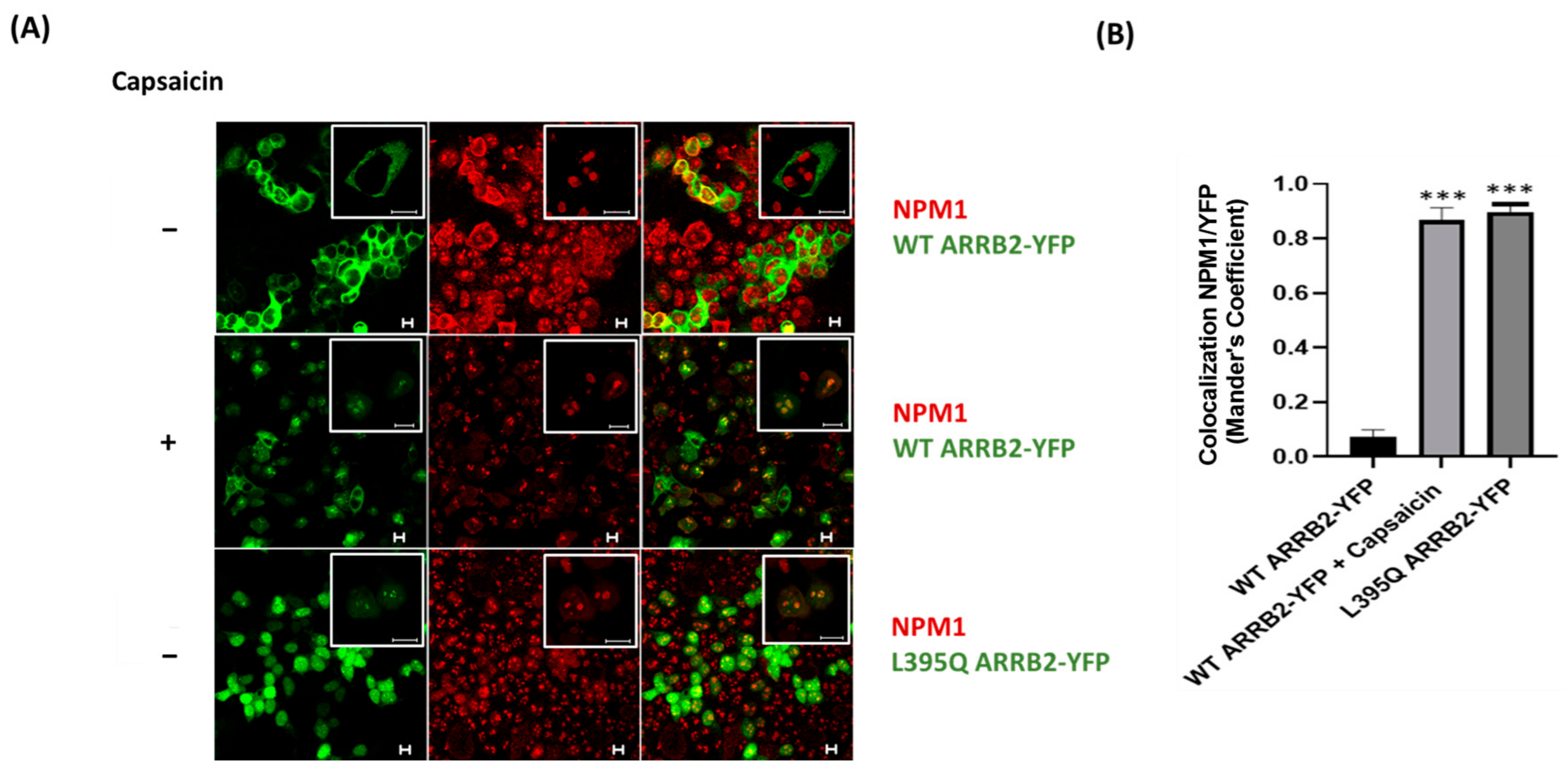 Ijms 22 02280 g001 Ijms 22 02280 g001