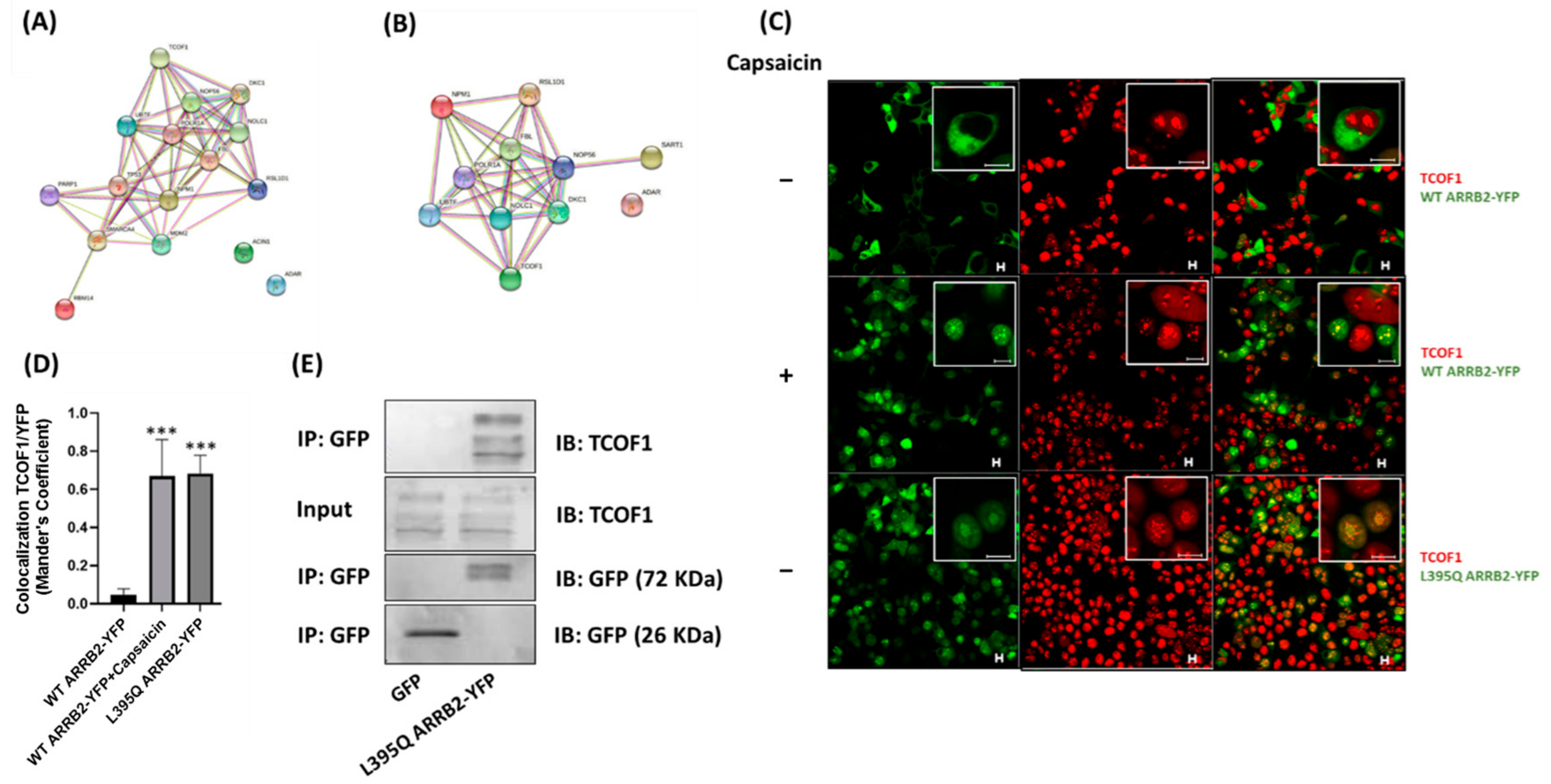 Ijms 22 02280 g003 Ijms 22 02280 g003
