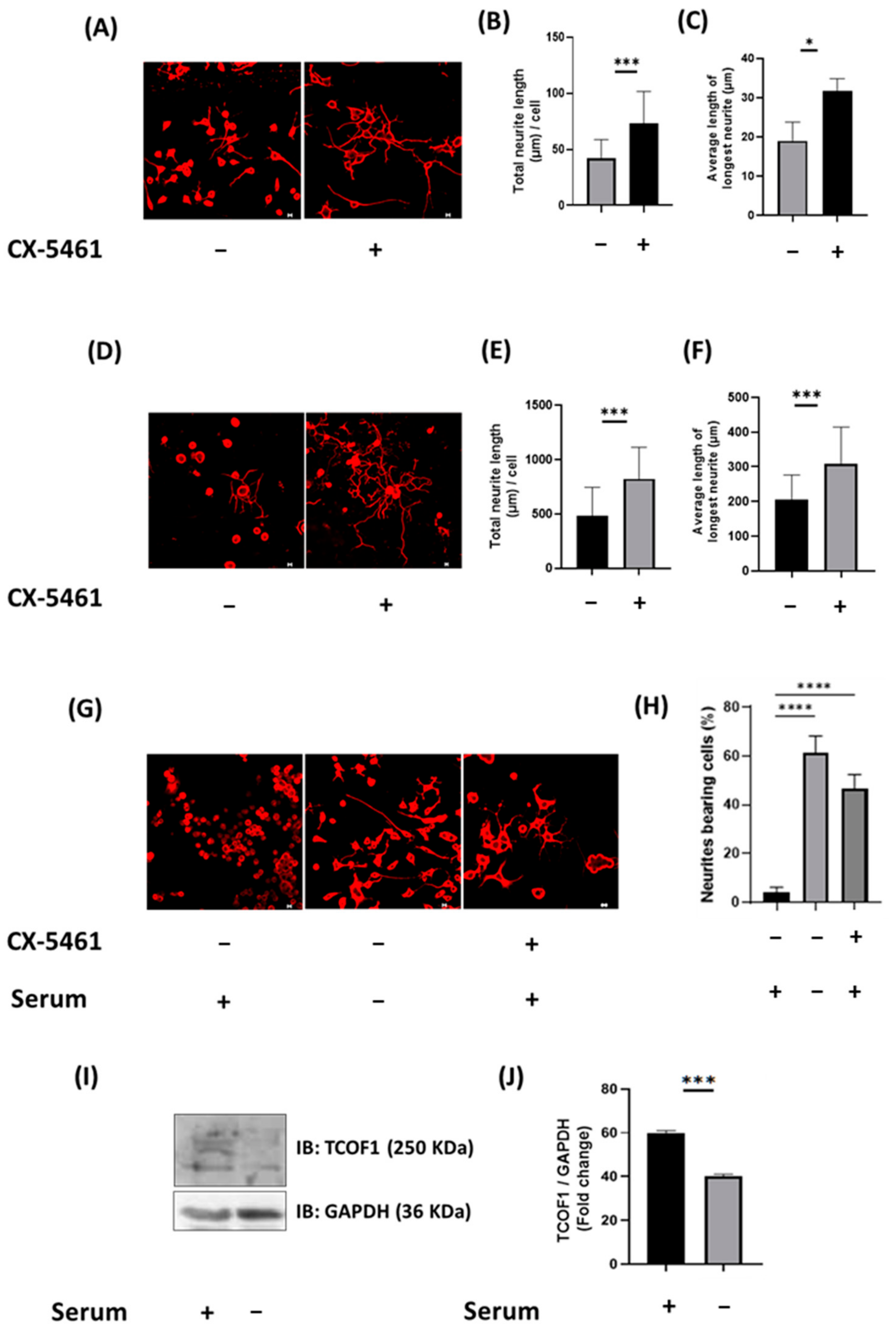 Ijms 22 02280 g008 Ijms 22 02280 g008