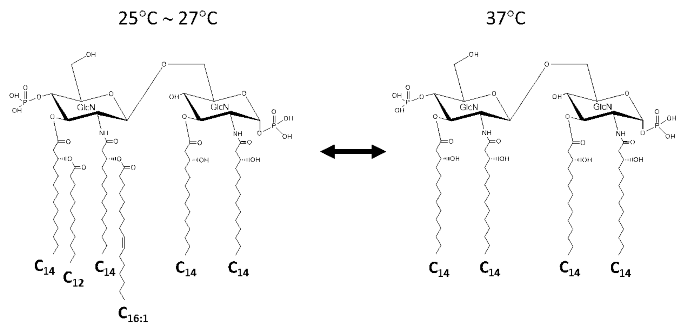 Ijms 22 02281 g002 Ijms 22 02281 g002
