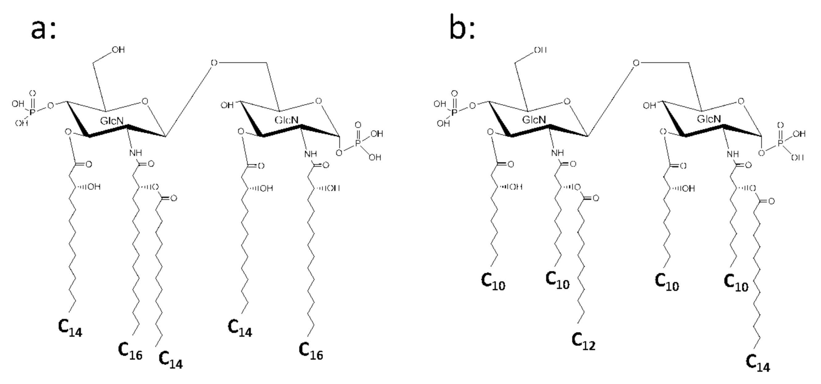 Ijms 22 02281 g003 Ijms 22 02281 g003