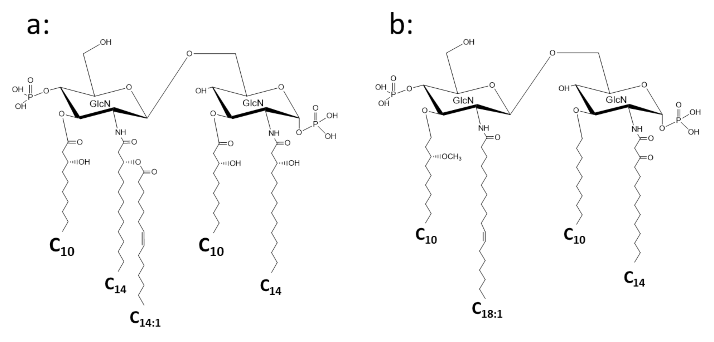 Ijms 22 02281 g005 Ijms 22 02281 g005