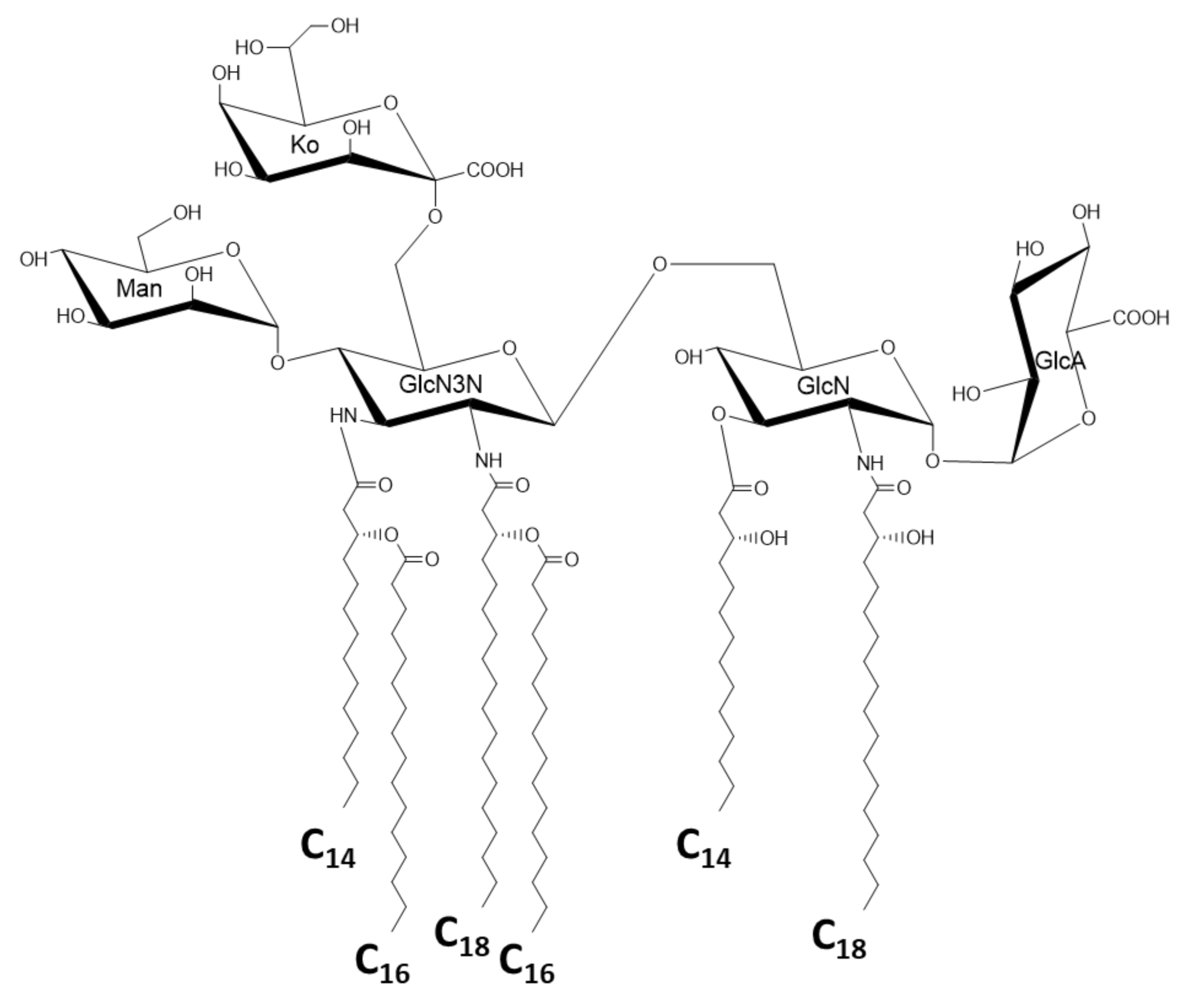 Ijms 22 02281 g006 Ijms 22 02281 g006