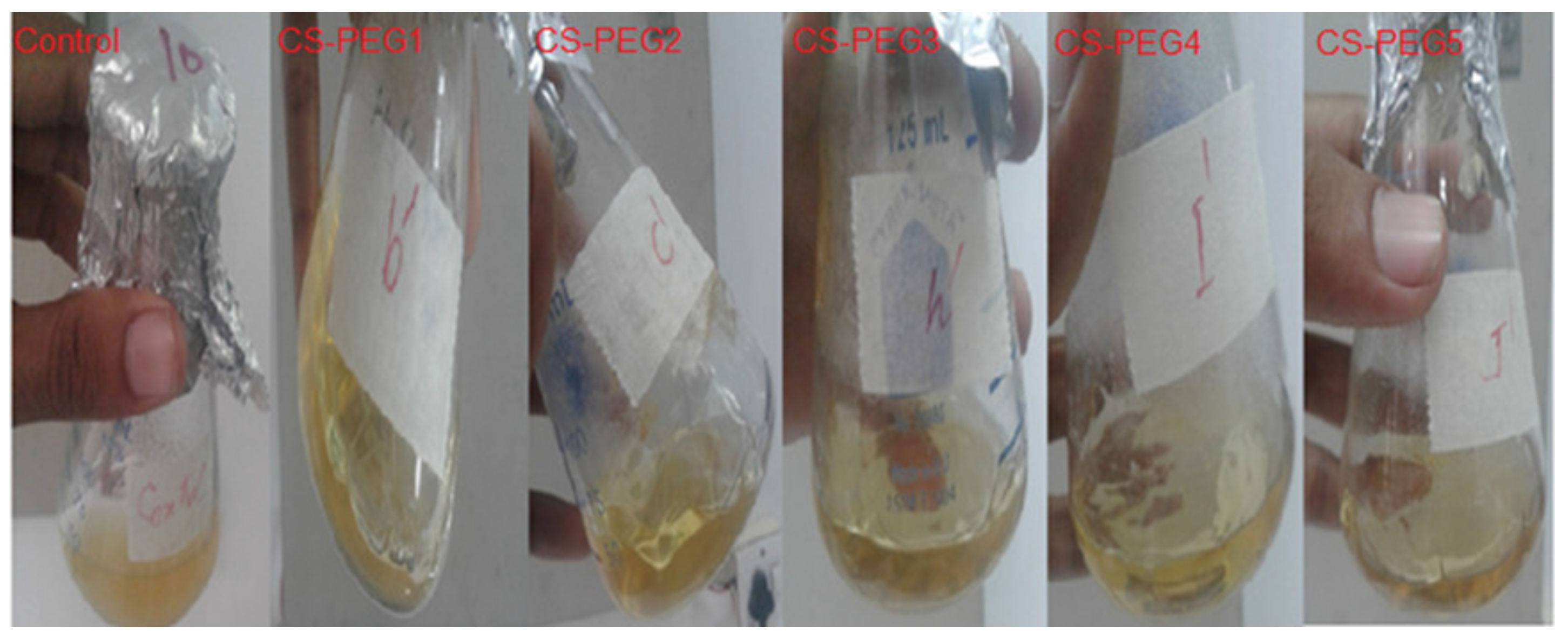 Ijms 22 02290 g004 550