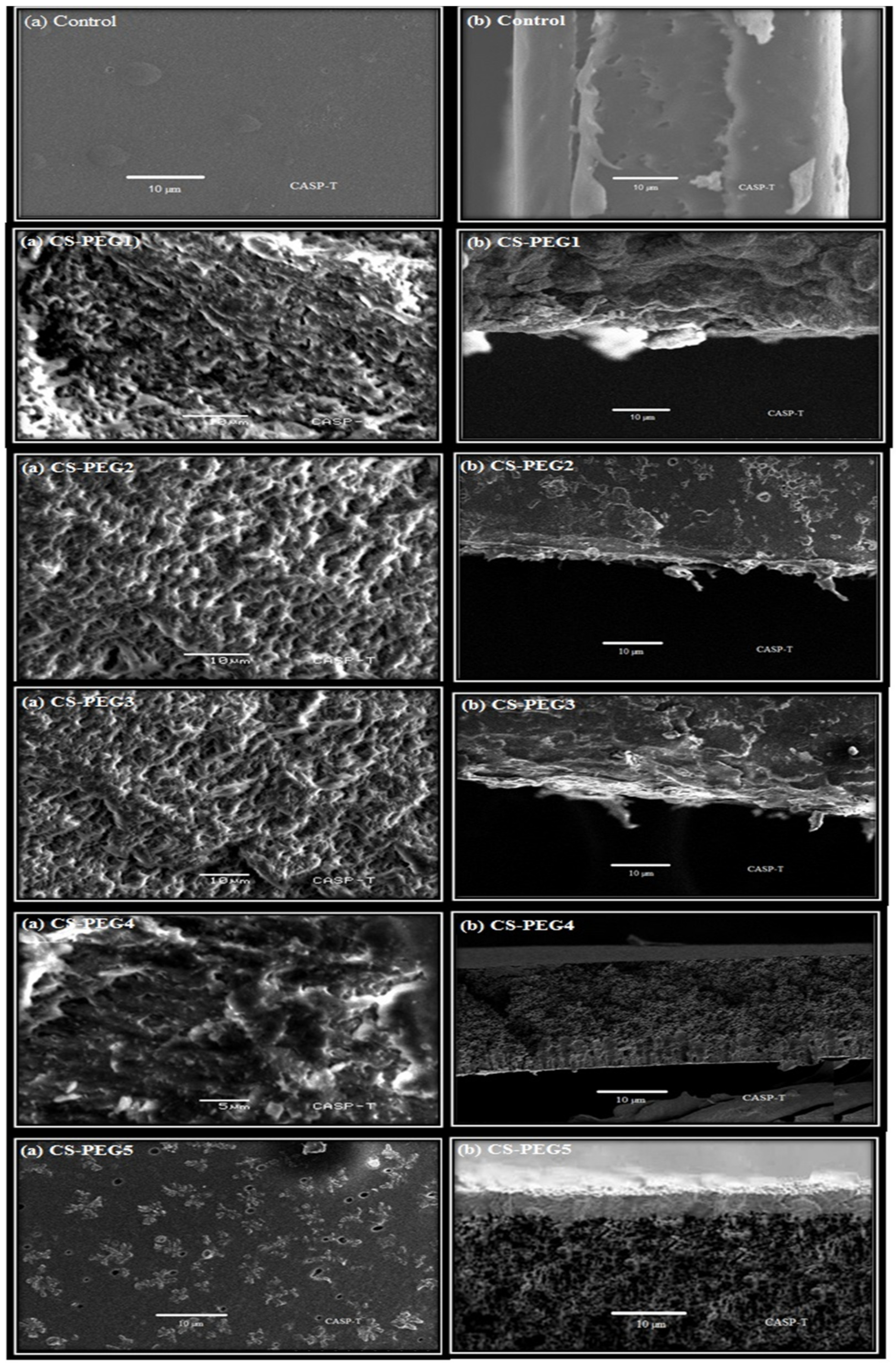 Ijms 22 02290 g005 550