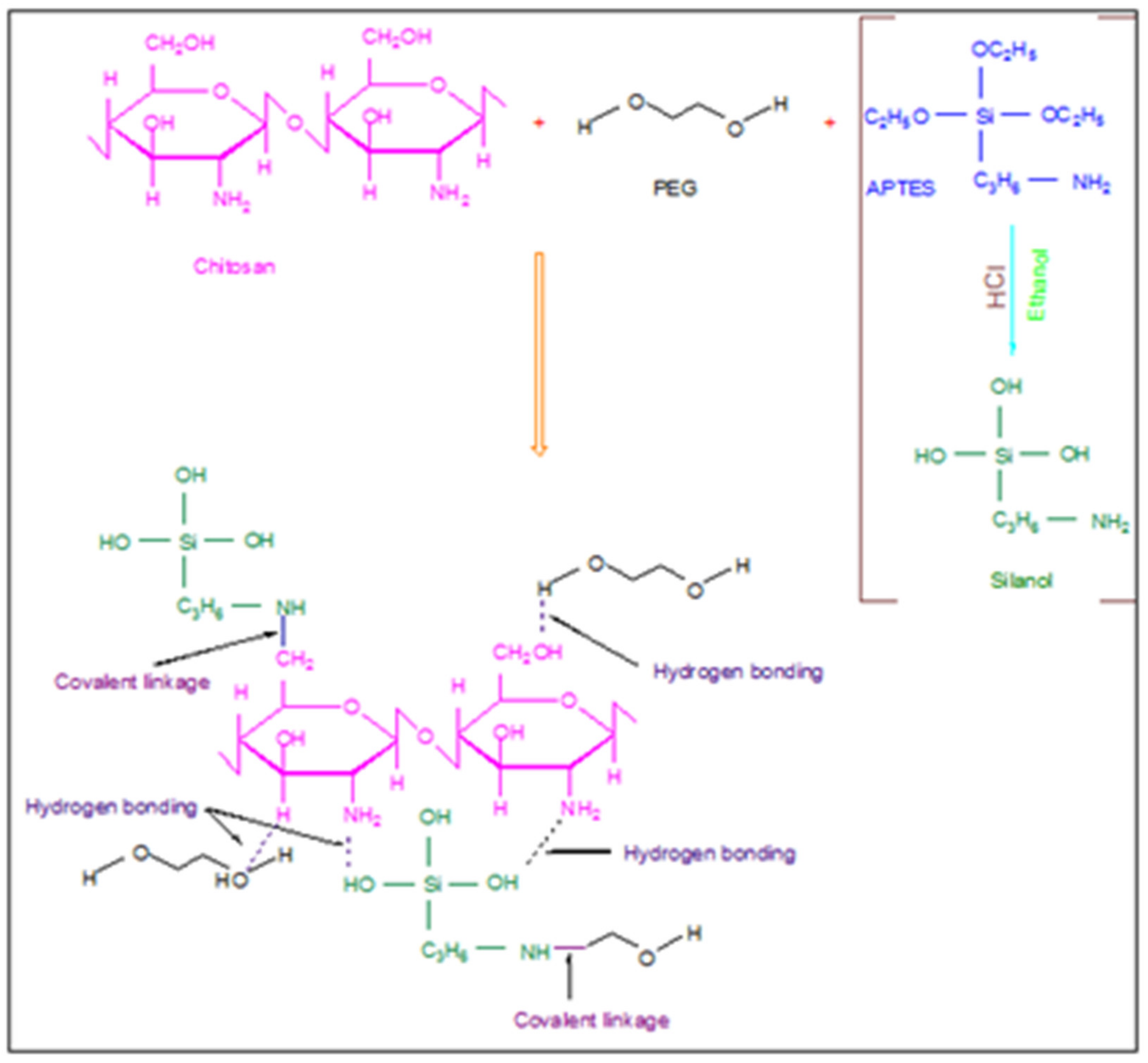 Ijms 22 02290 g008 550
