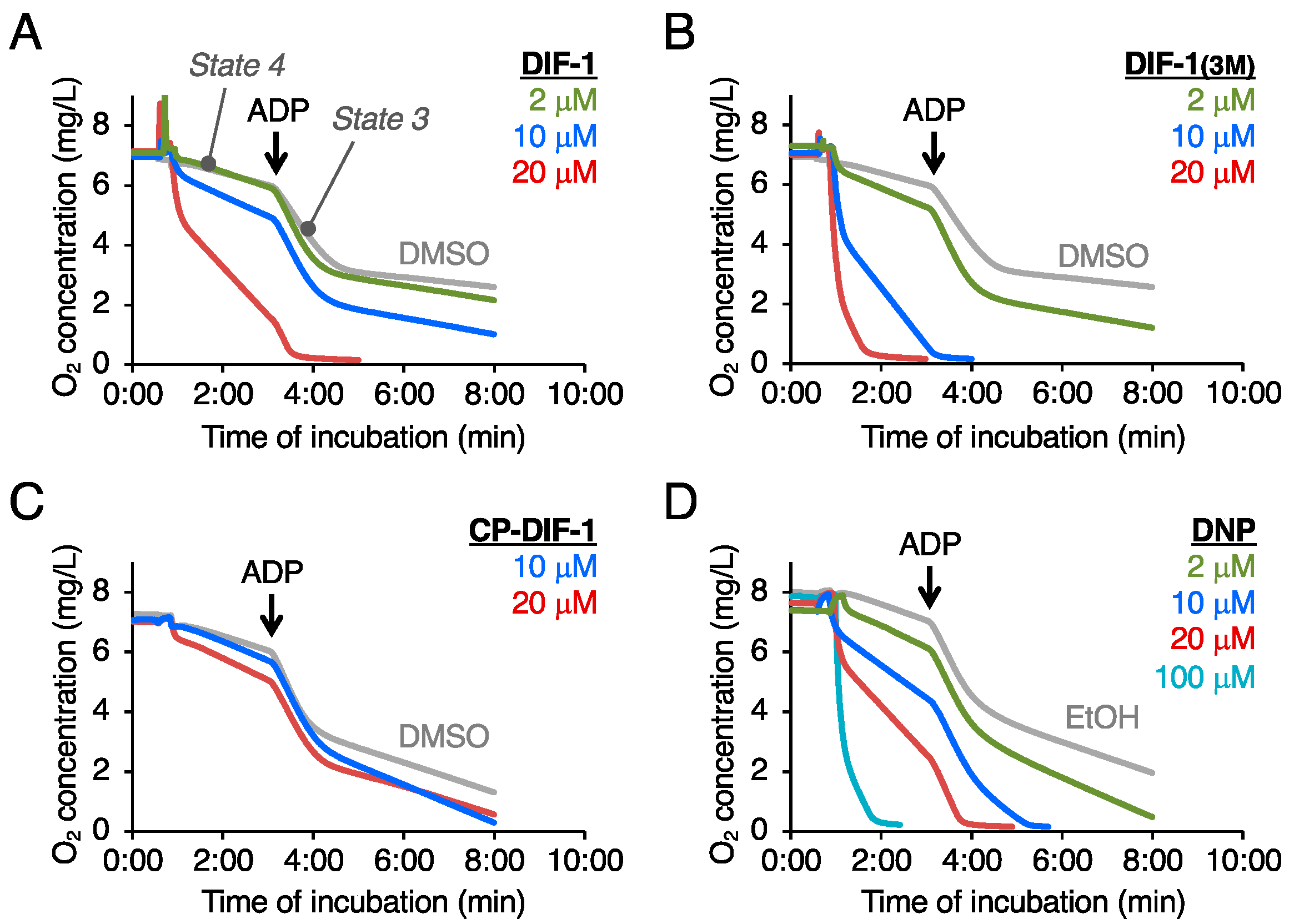 Ijms 22 02293 g002 Ijms 22 02293 g002