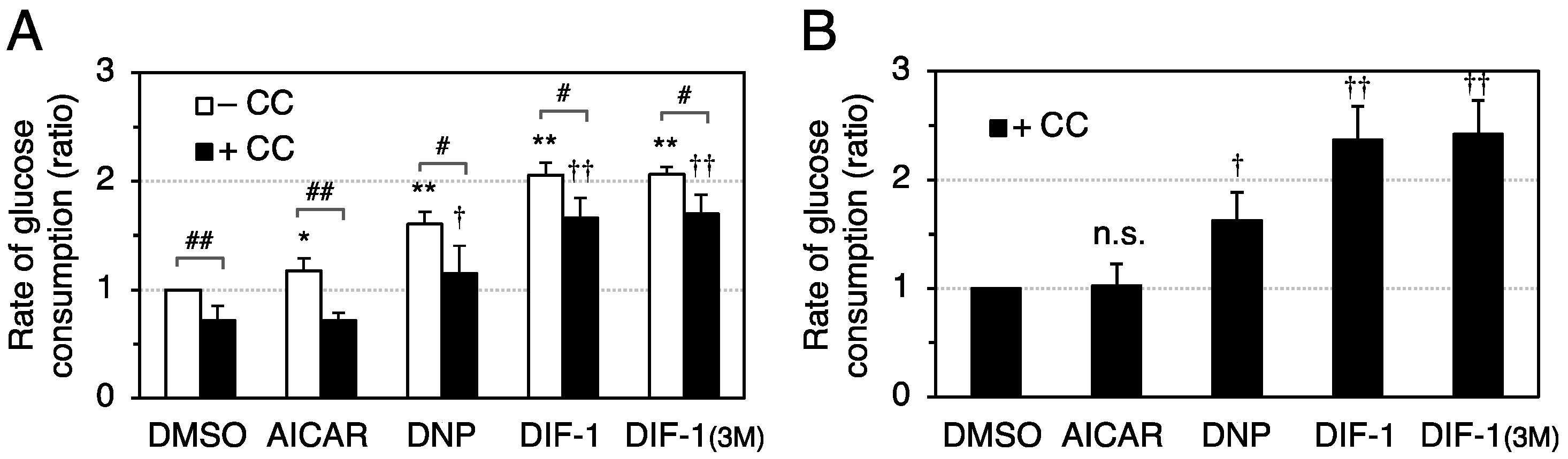 Ijms 22 02293 g005 Ijms 22 02293 g005