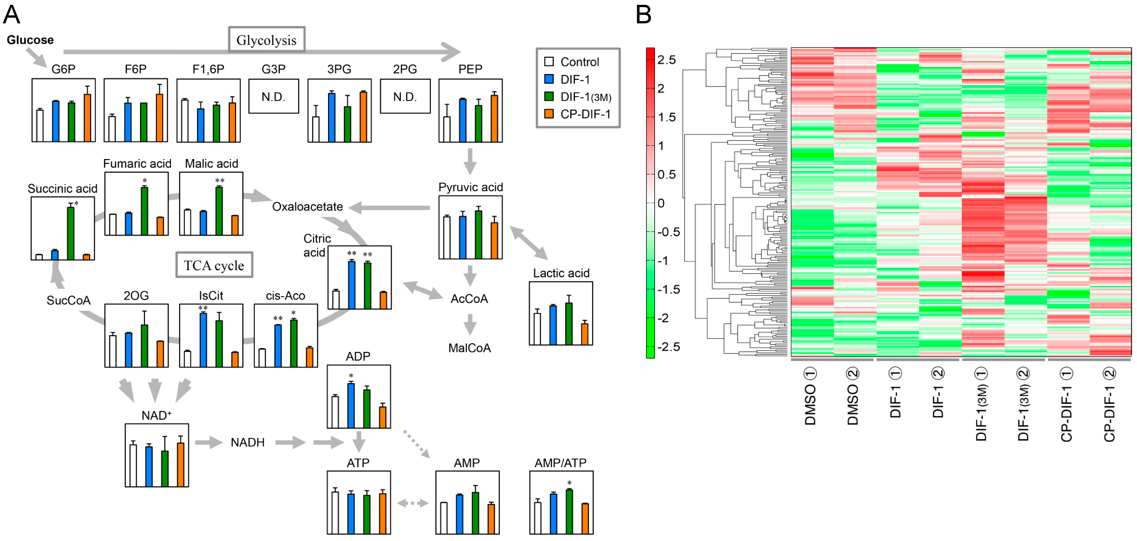 Ijms 22 02293 g007 Ijms 22 02293 g007