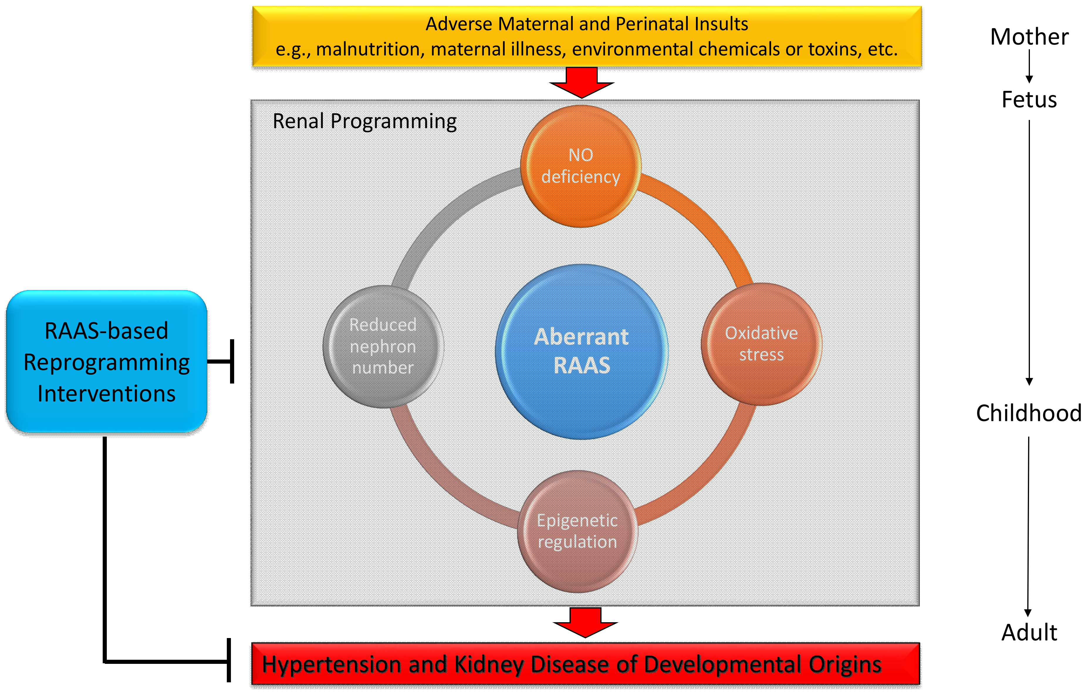 Ijms 22 02298 g003 Ijms 22 02298 g003
