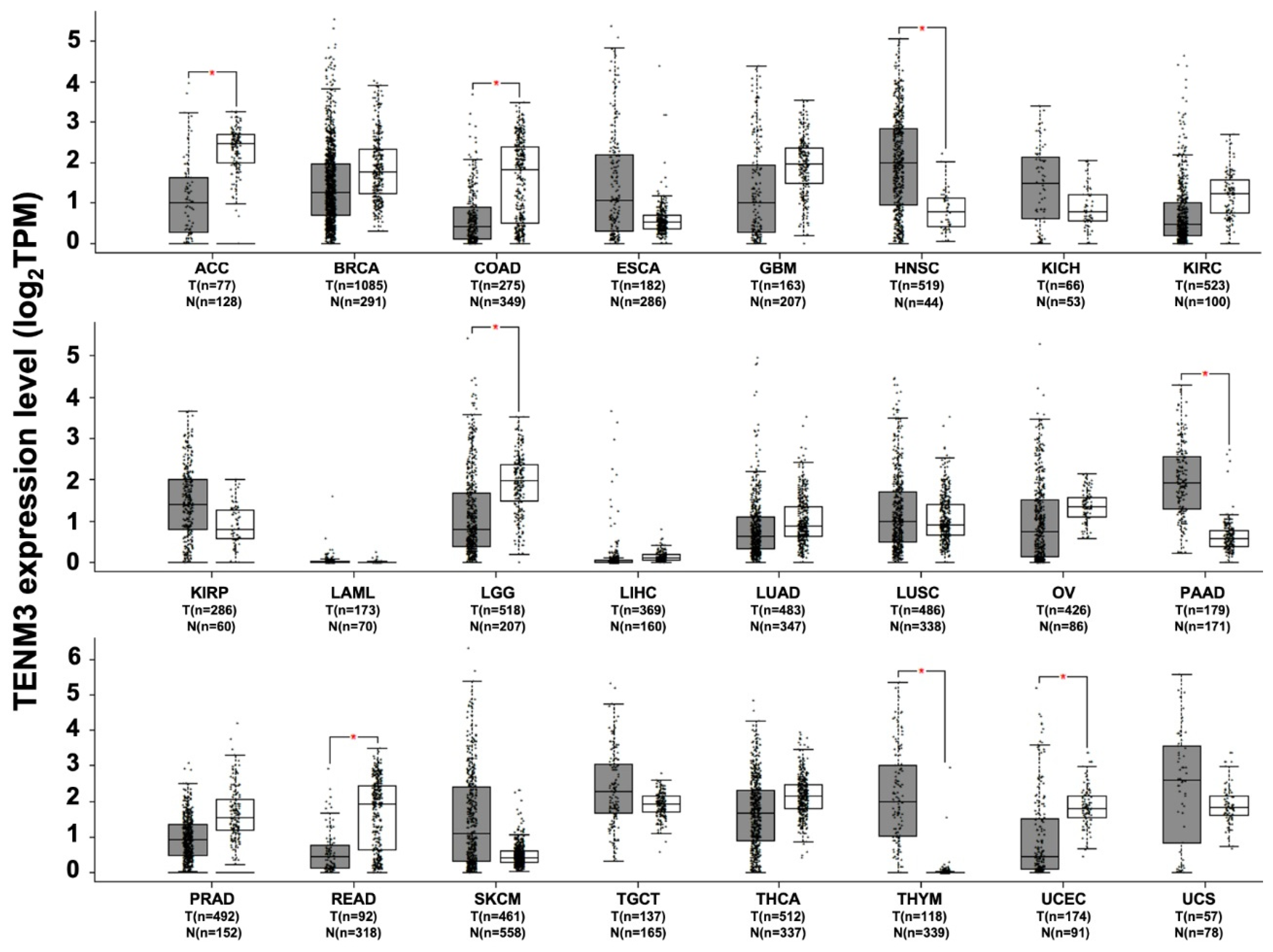 Ijms 22 02321 g004 Ijms 22 02321 g004