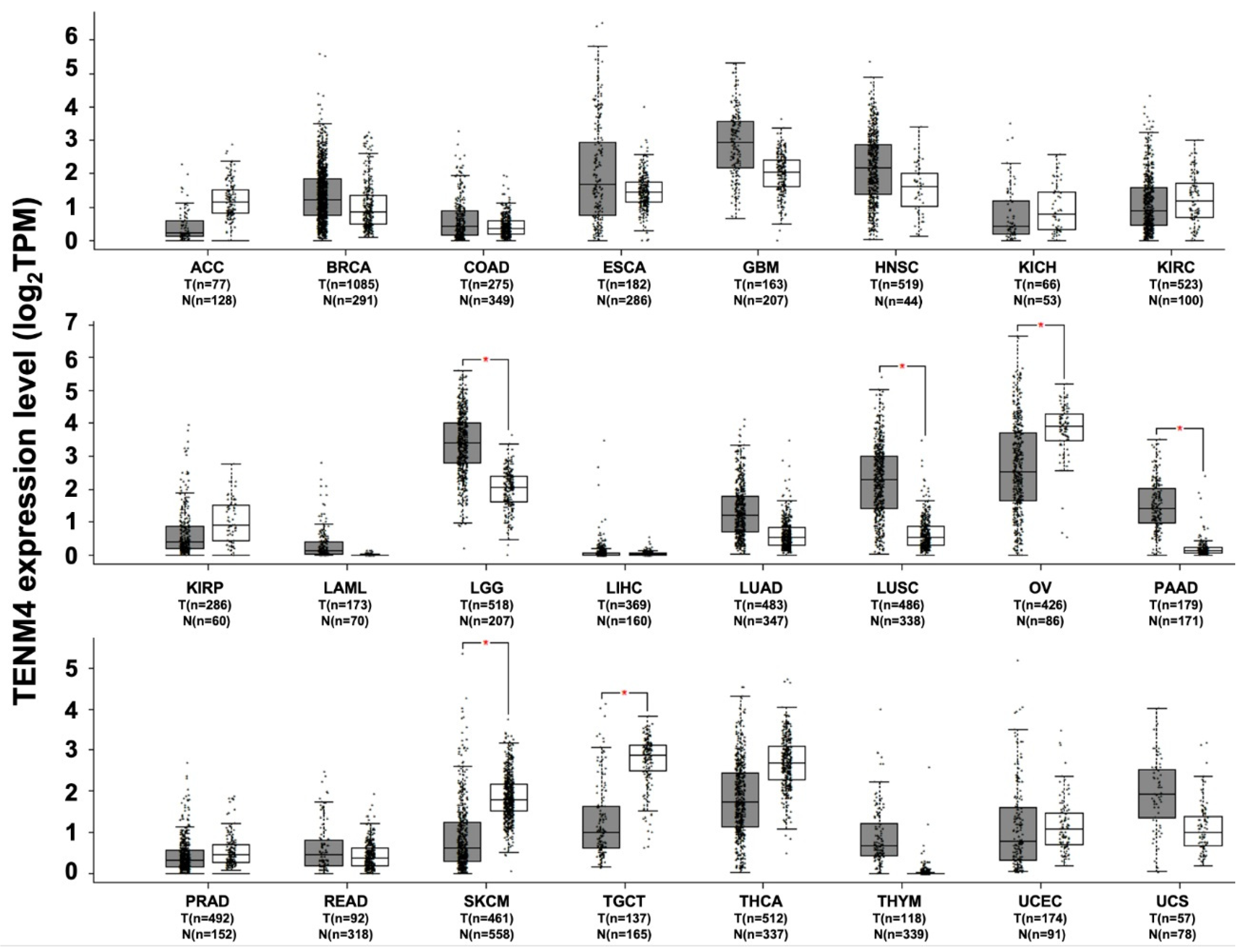 Ijms 22 02321 g005 Ijms 22 02321 g005