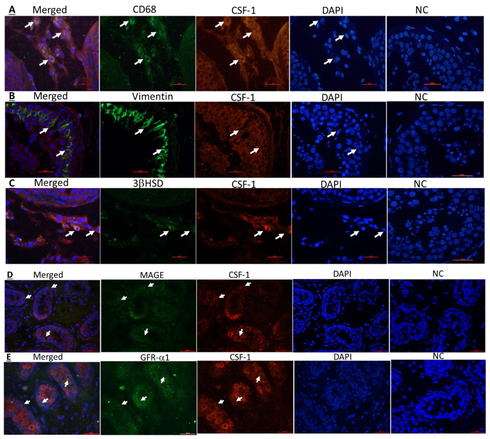 Ijms 22 02325 g003a