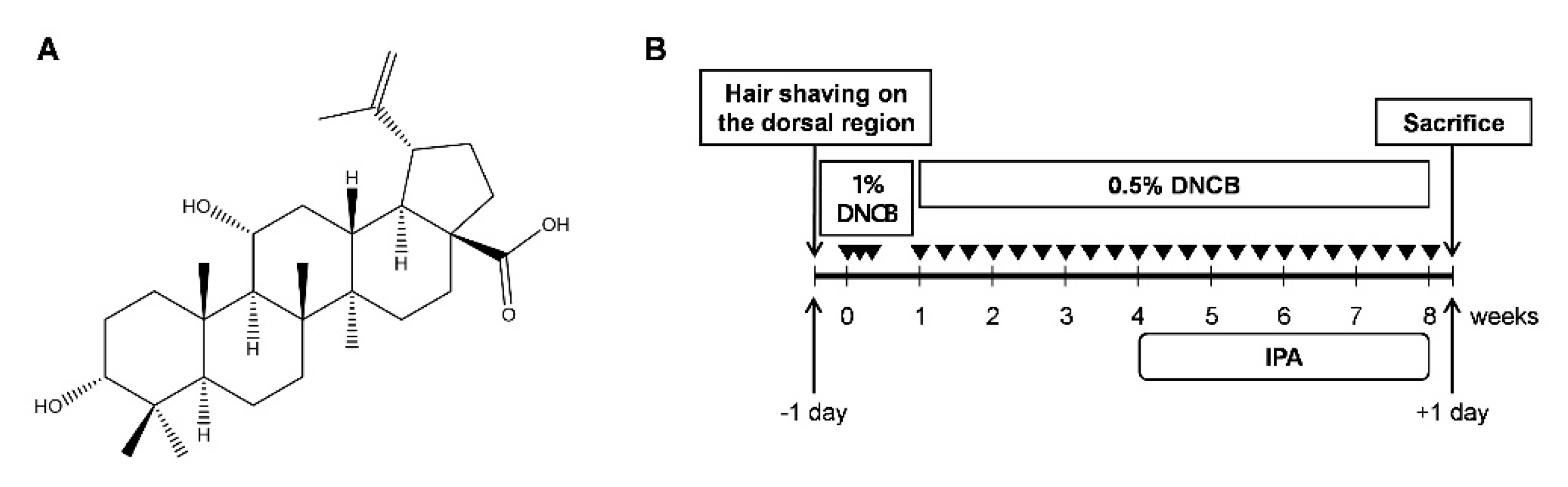 Ijms 22 02334 g001 Ijms 22 02334 g001