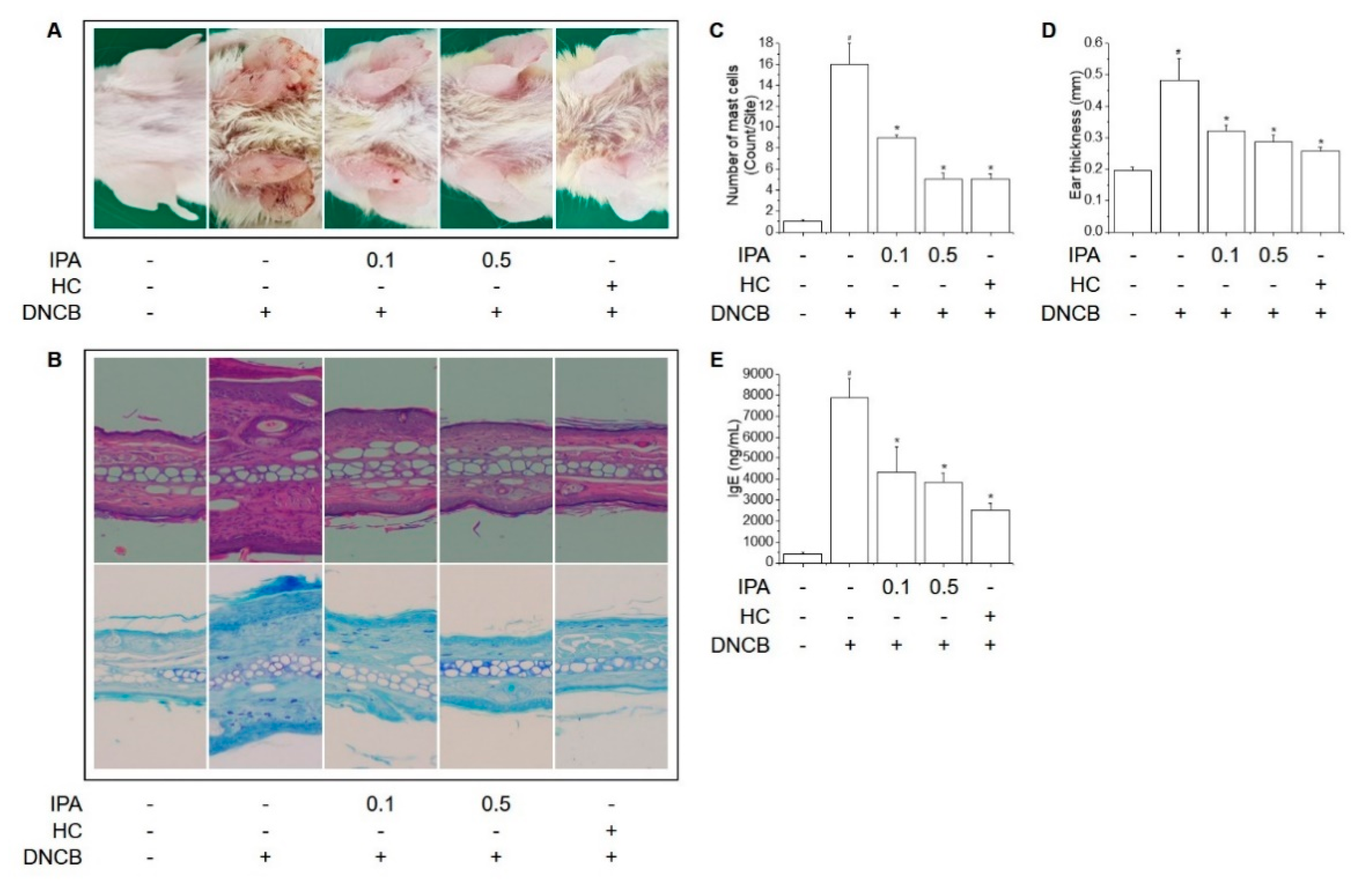 Ijms 22 02334 g002 Ijms 22 02334 g002