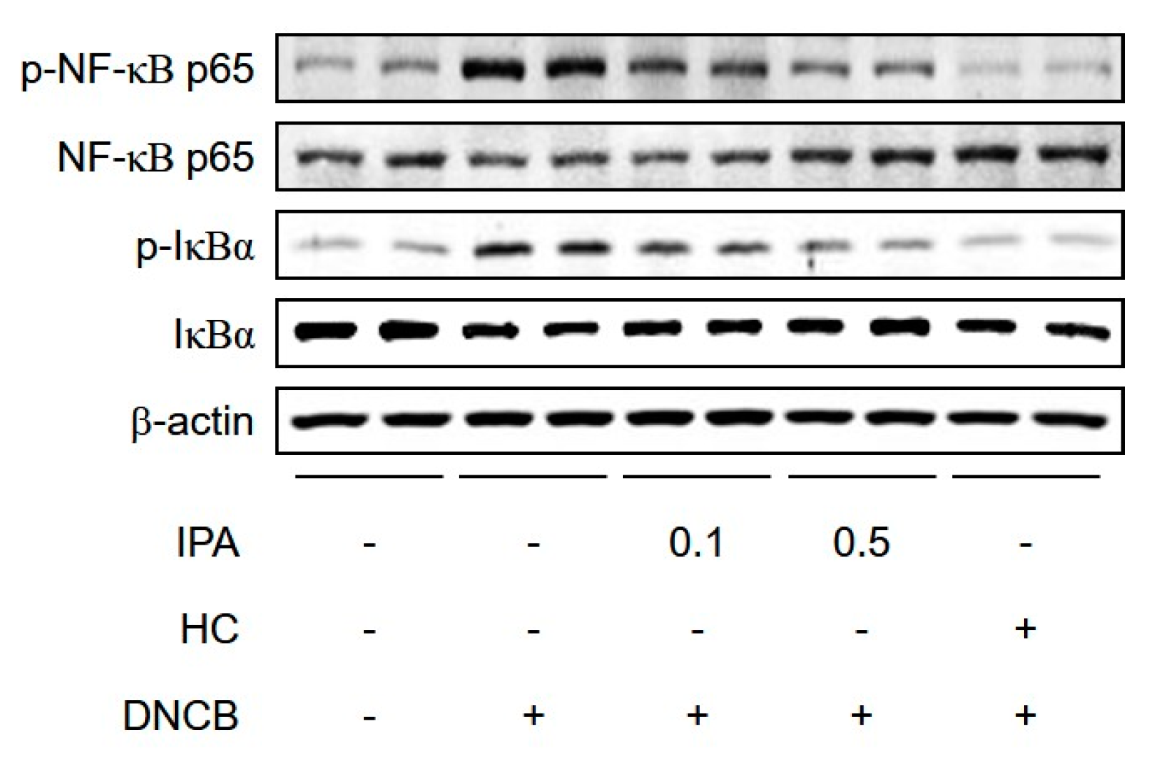 Ijms 22 02334 g005 Ijms 22 02334 g005