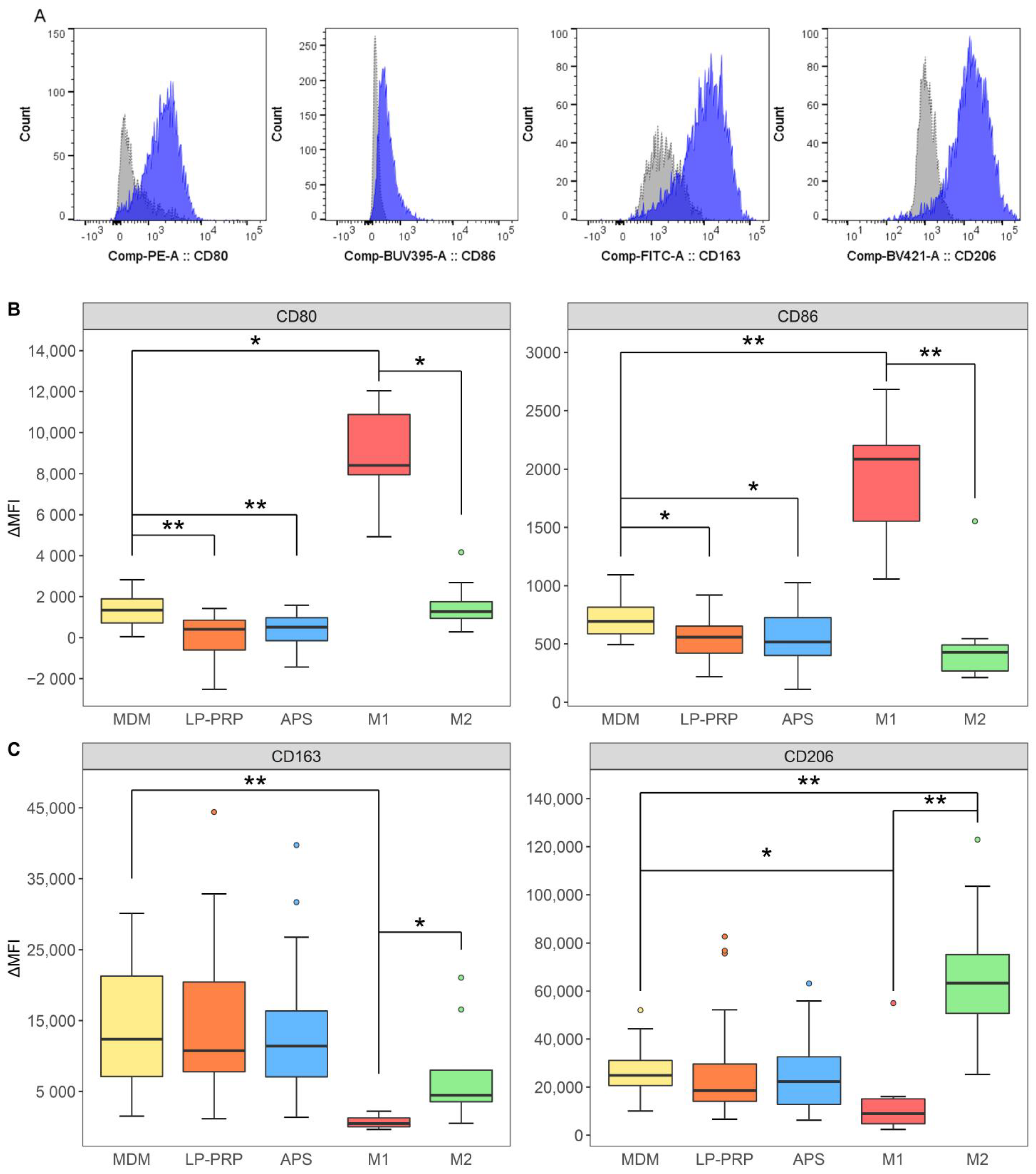 Ijms 22 02336 g004 Ijms 22 02336 g004