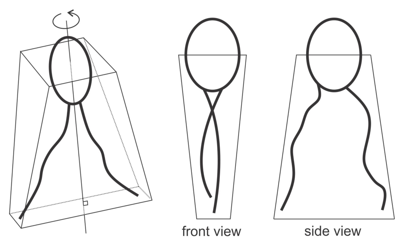 Ijms 22 02348 g004 Ijms 22 02348 g004