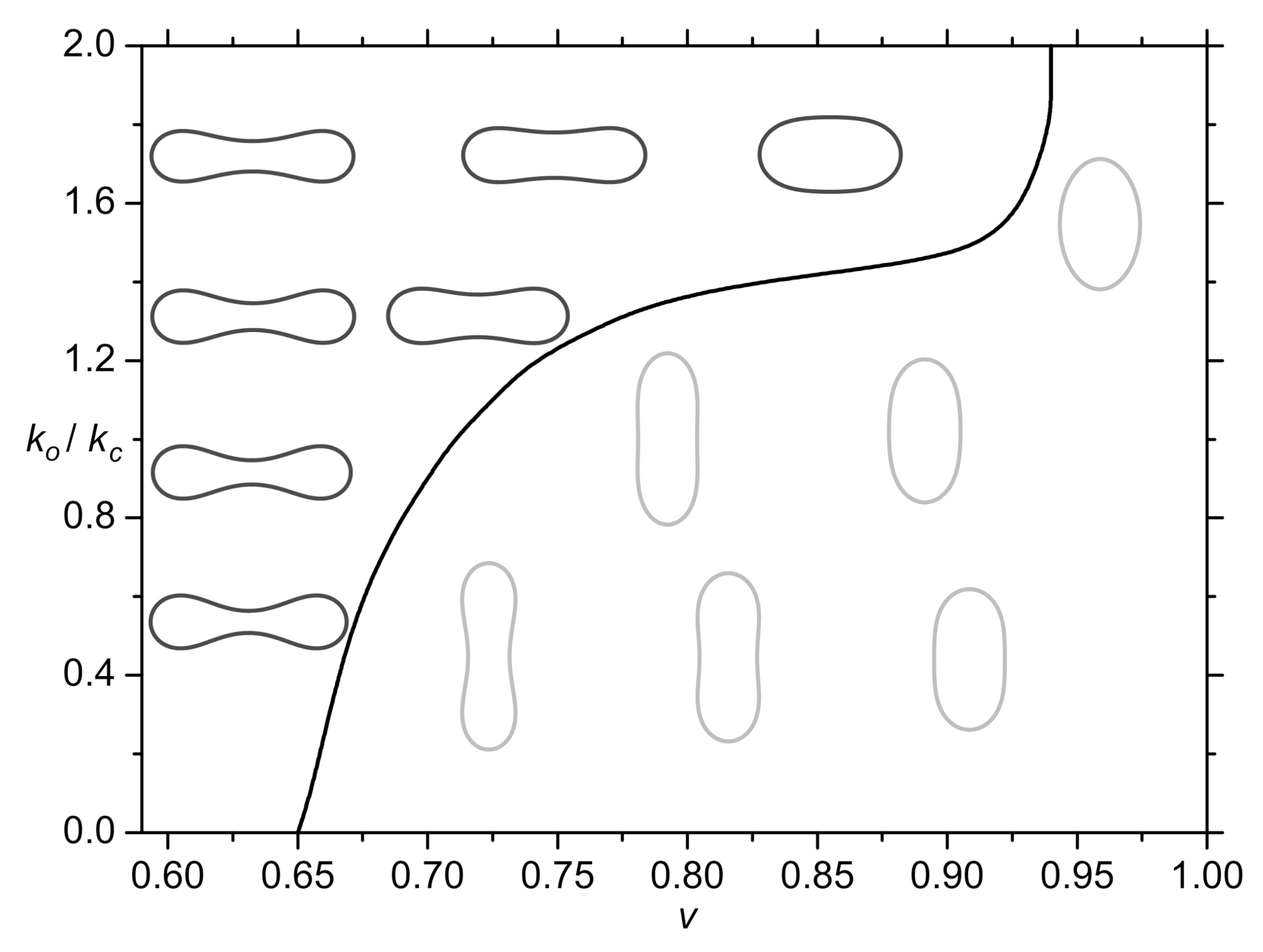 Ijms 22 02348 g011 Ijms 22 02348 g011