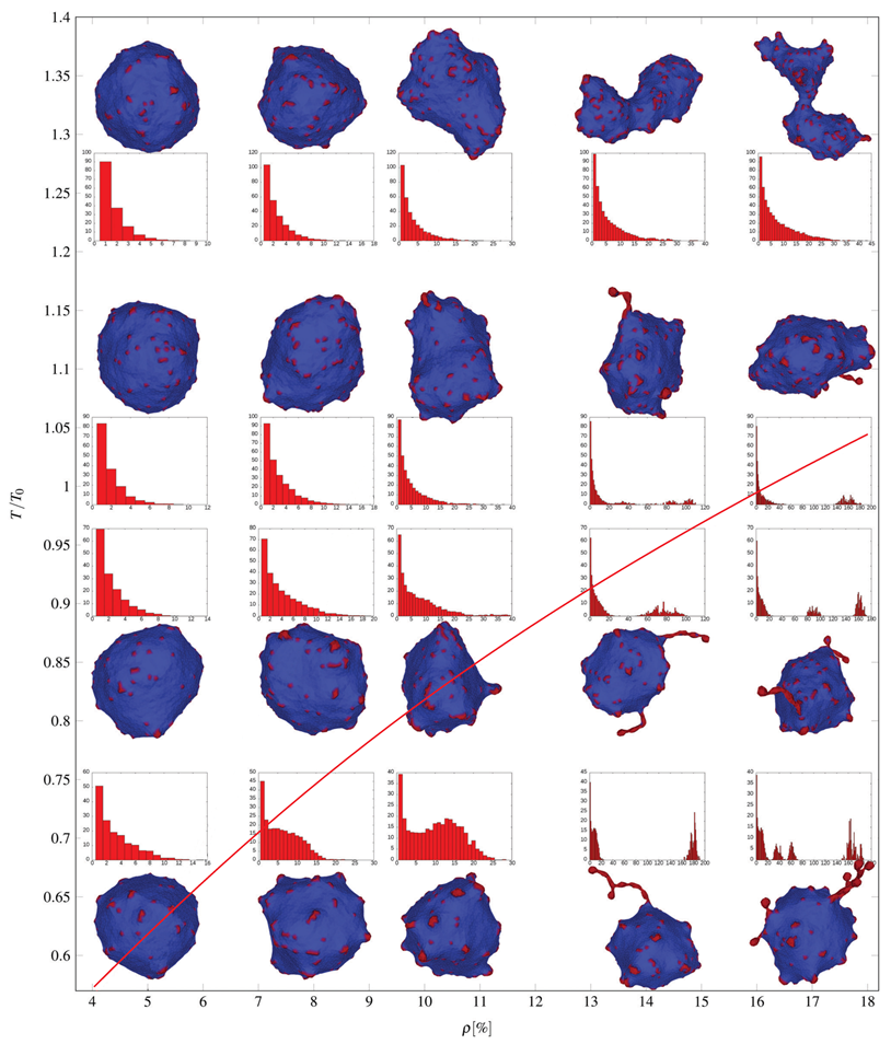 Ijms 22 02348 g017 Ijms 22 02348 g017