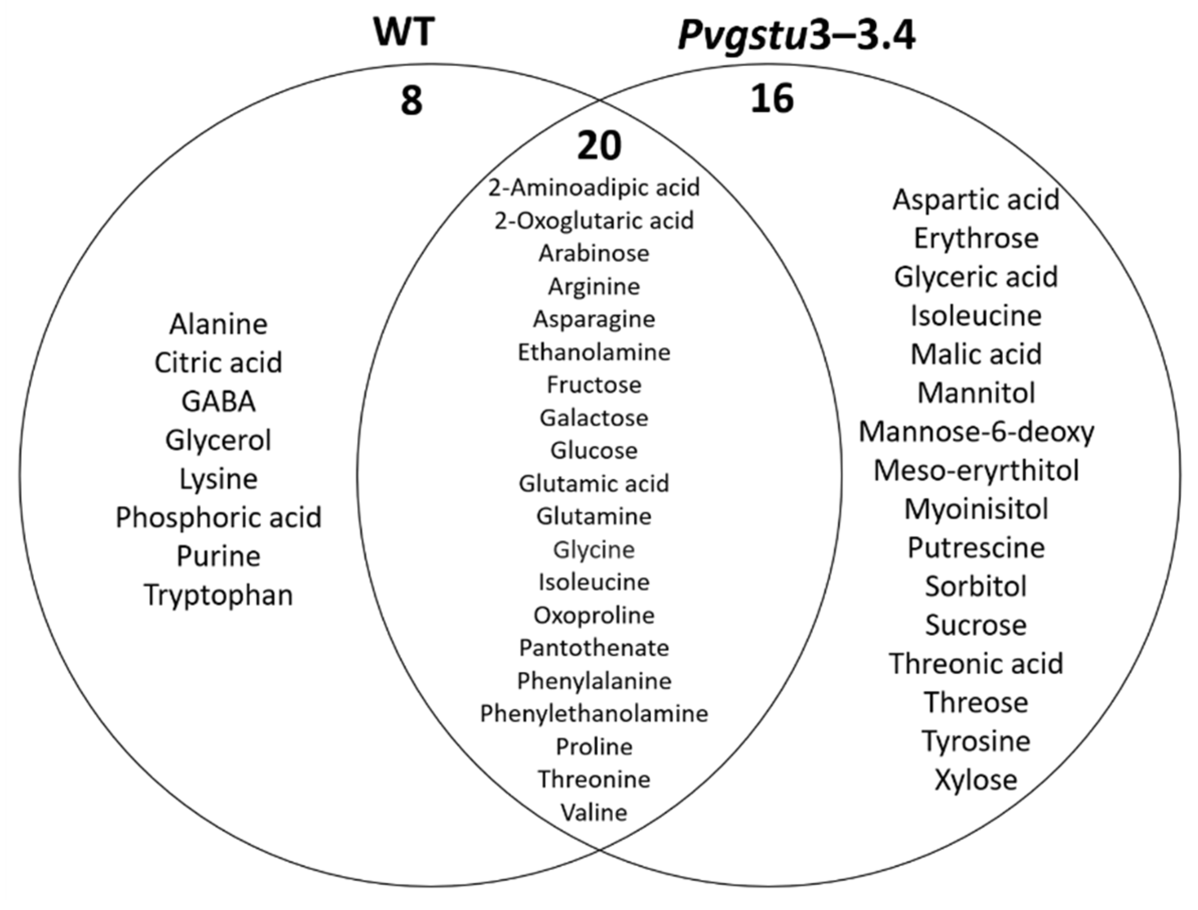 Ijms Free Full Text Overexpression Of A Biotic Stress Inducible Pvgstu Gene Activates Early Protective Responses In Tobacco Under Combined Heat And Drought Html