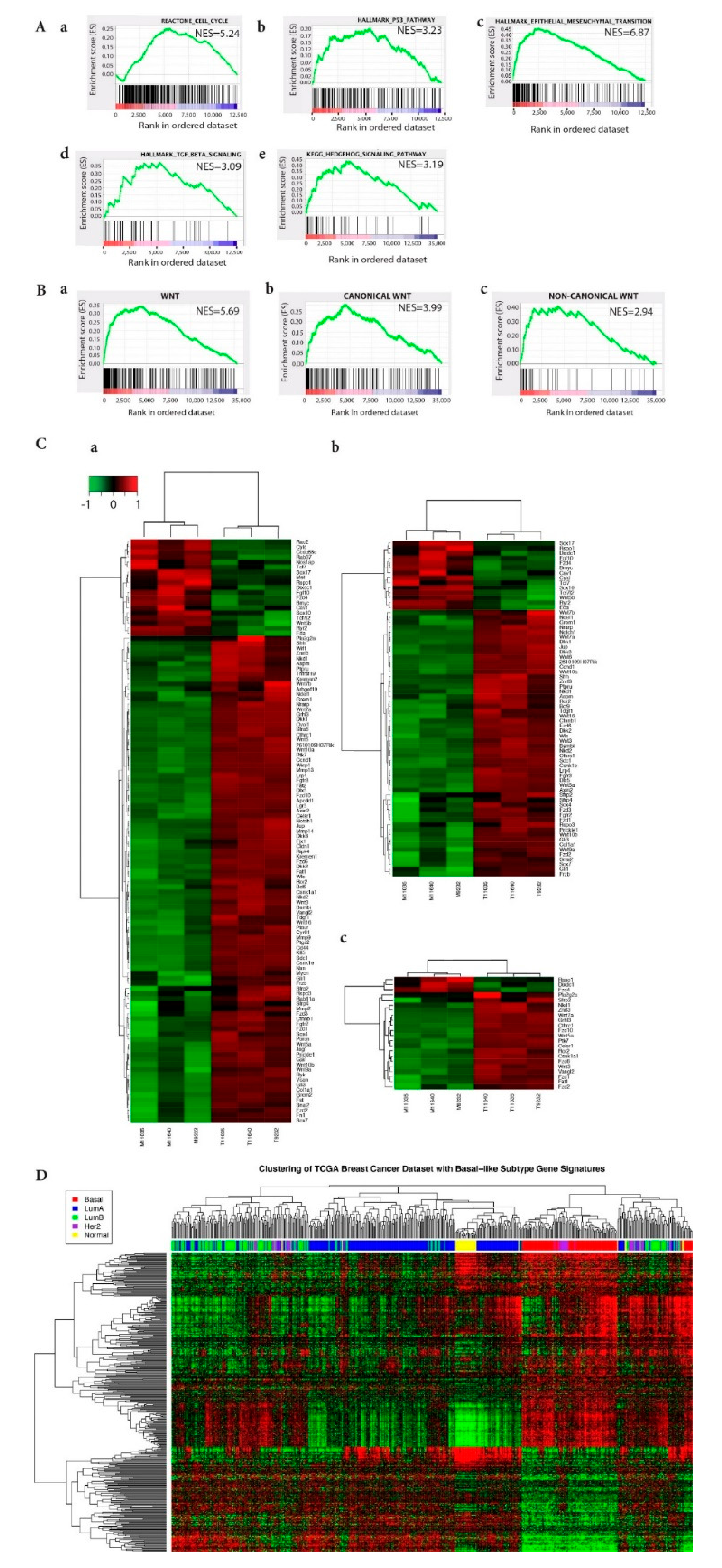 Ijms 22 02353 g002 Ijms 22 02353 g002