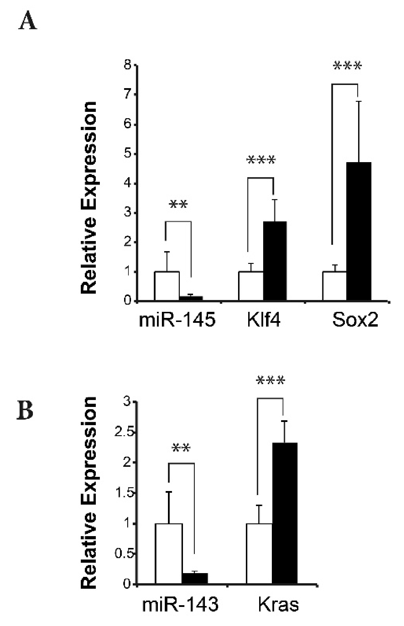 Ijms 22 02353 g005 Ijms 22 02353 g005