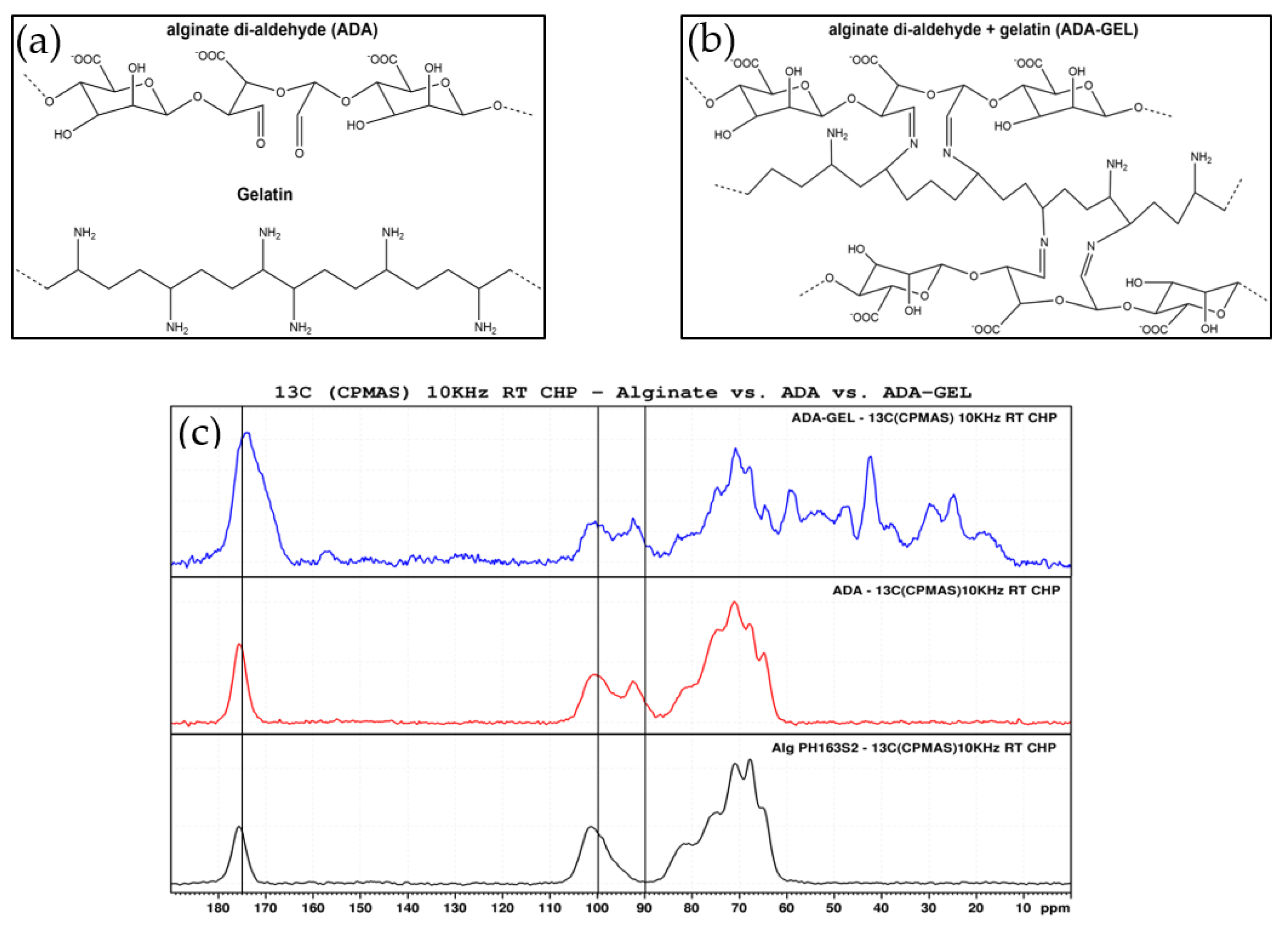 Ijms 22 02358 g002 Ijms 22 02358 g002