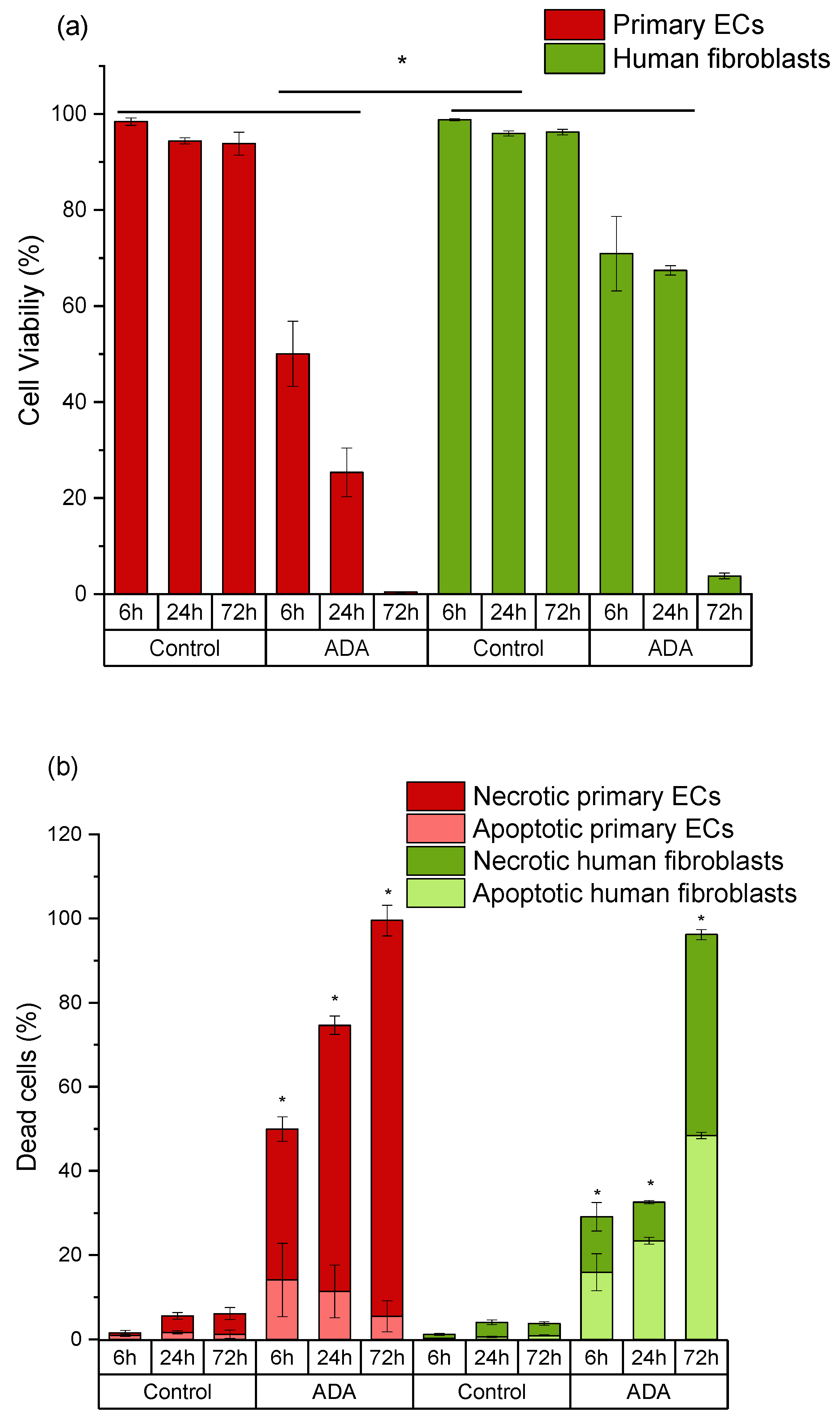 Ijms 22 02358 g004 Ijms 22 02358 g004
