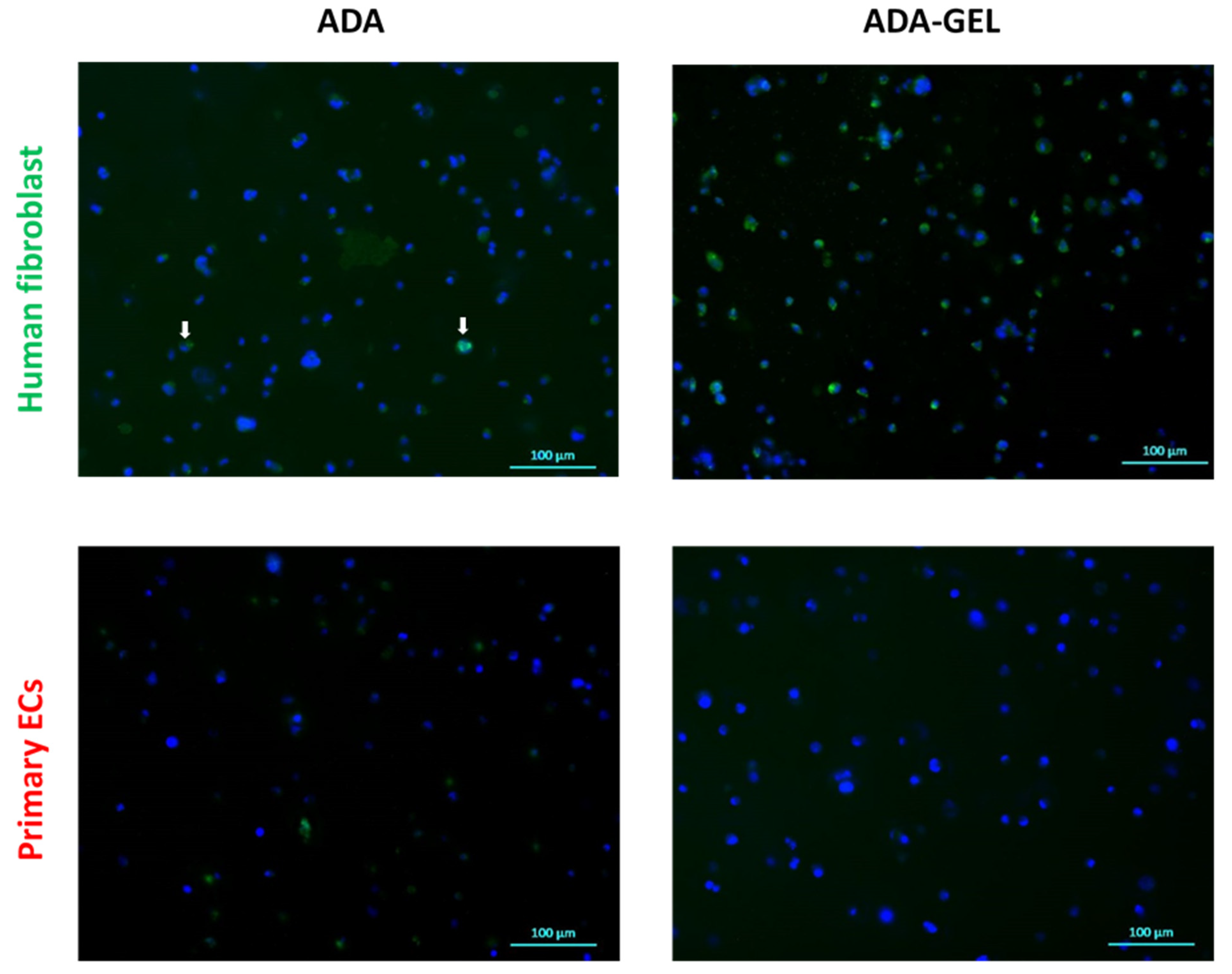 Ijms 22 02358 g008 Ijms 22 02358 g008