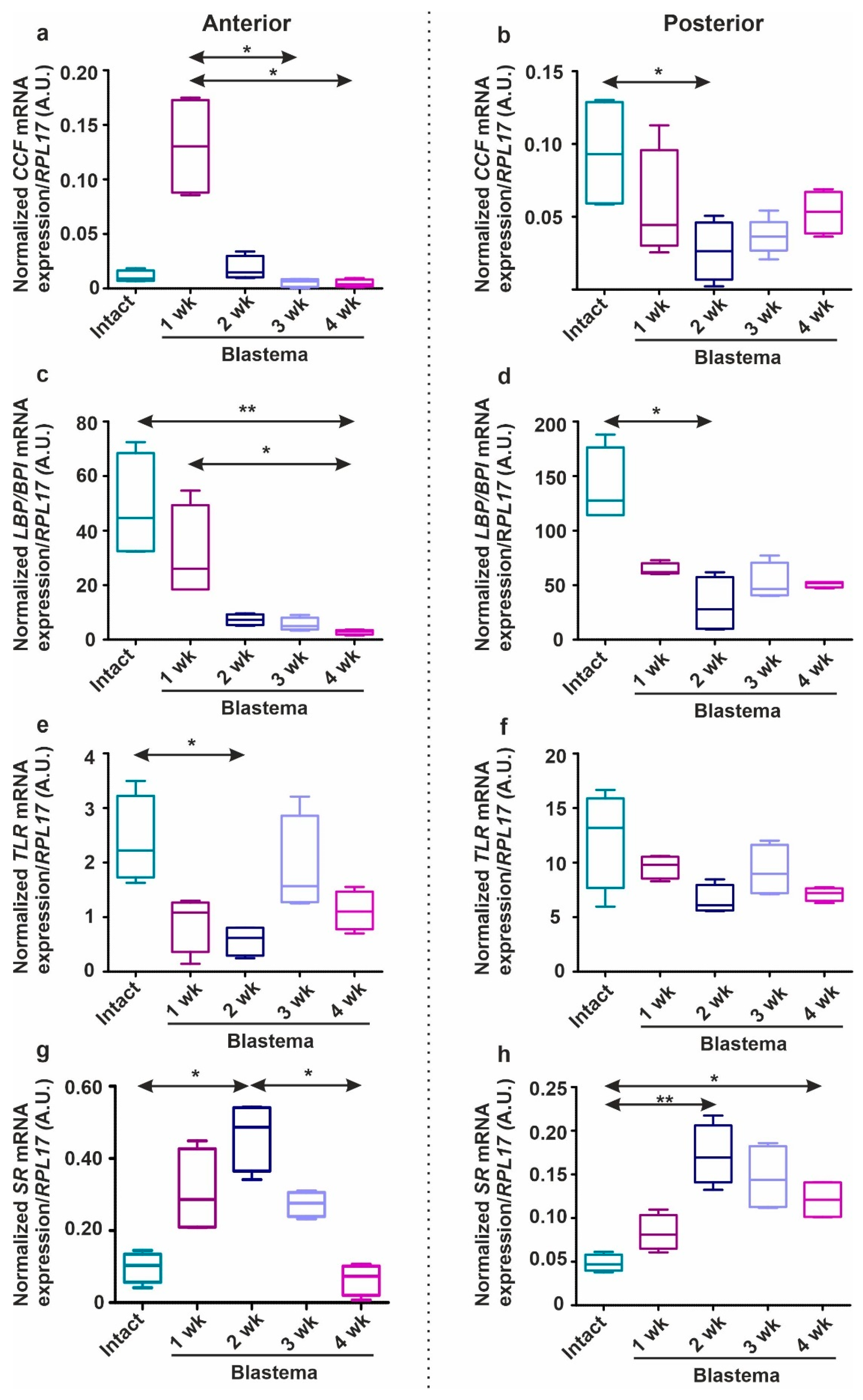 Ijms 22 02363 g008 Ijms 22 02363 g008