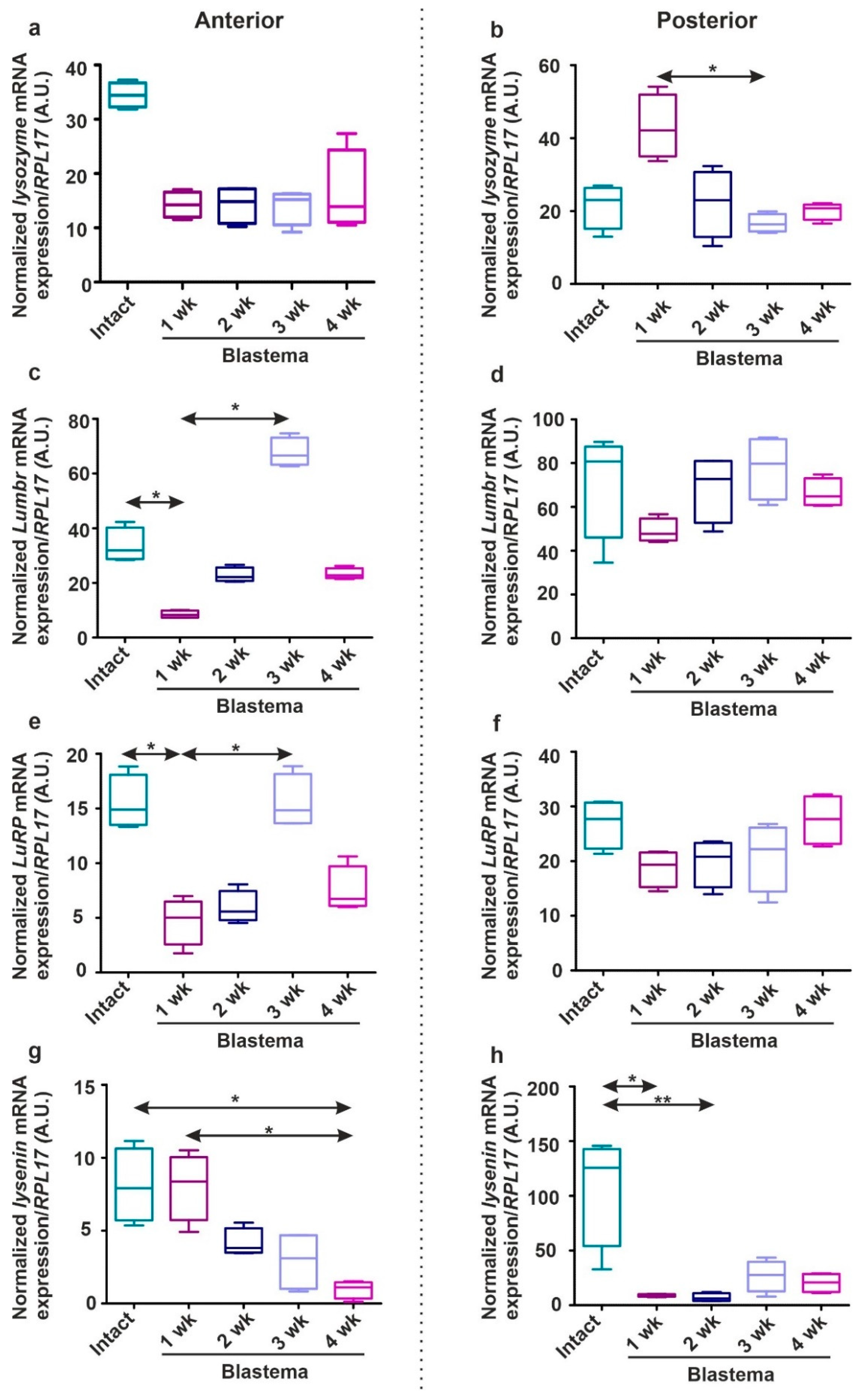 Ijms 22 02363 g009 Ijms 22 02363 g009