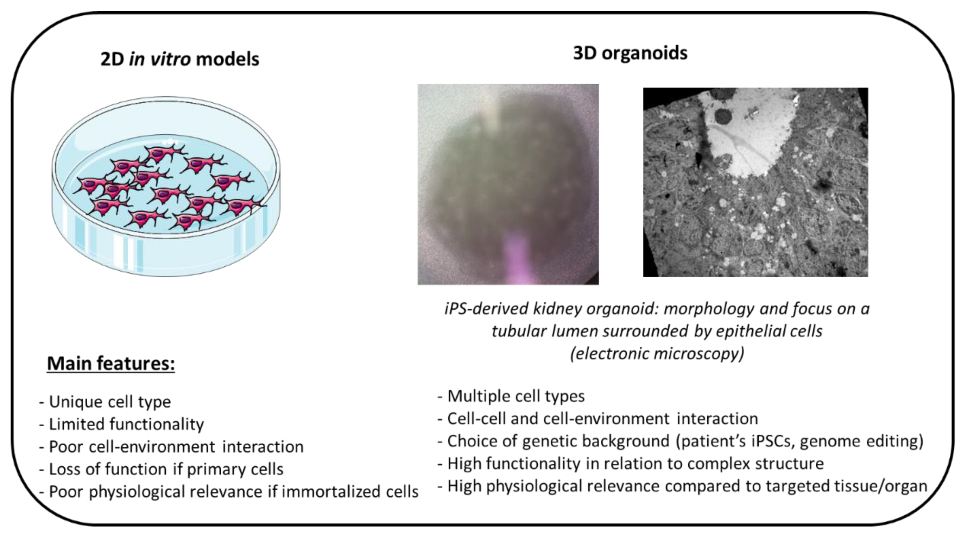 Ijms 22 02366 sch004