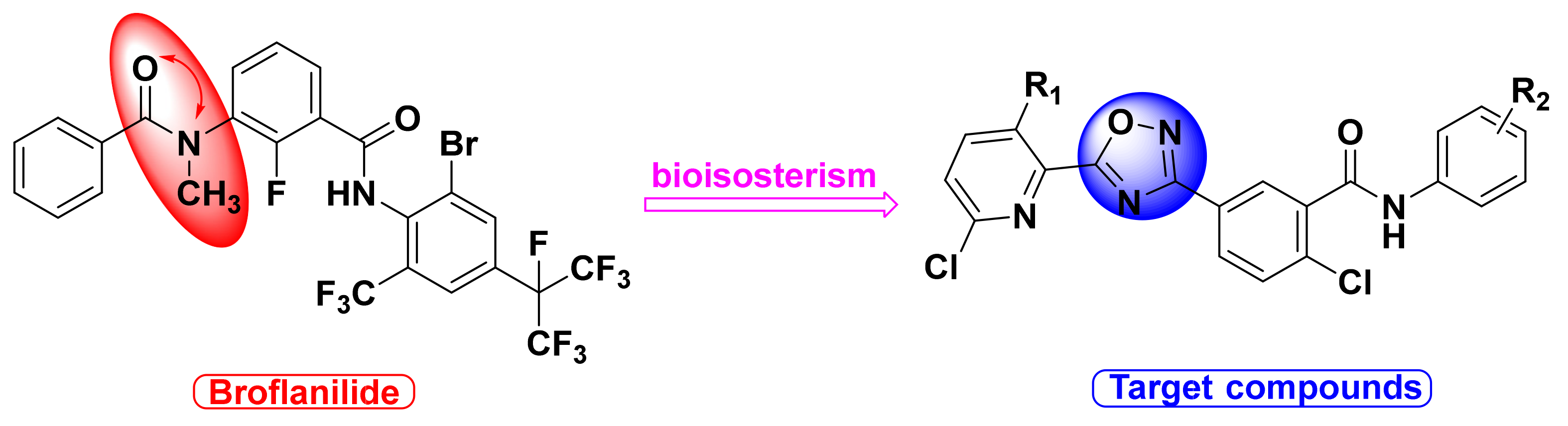 Ijms 22 02367 g002 Ijms 22 02367 g002