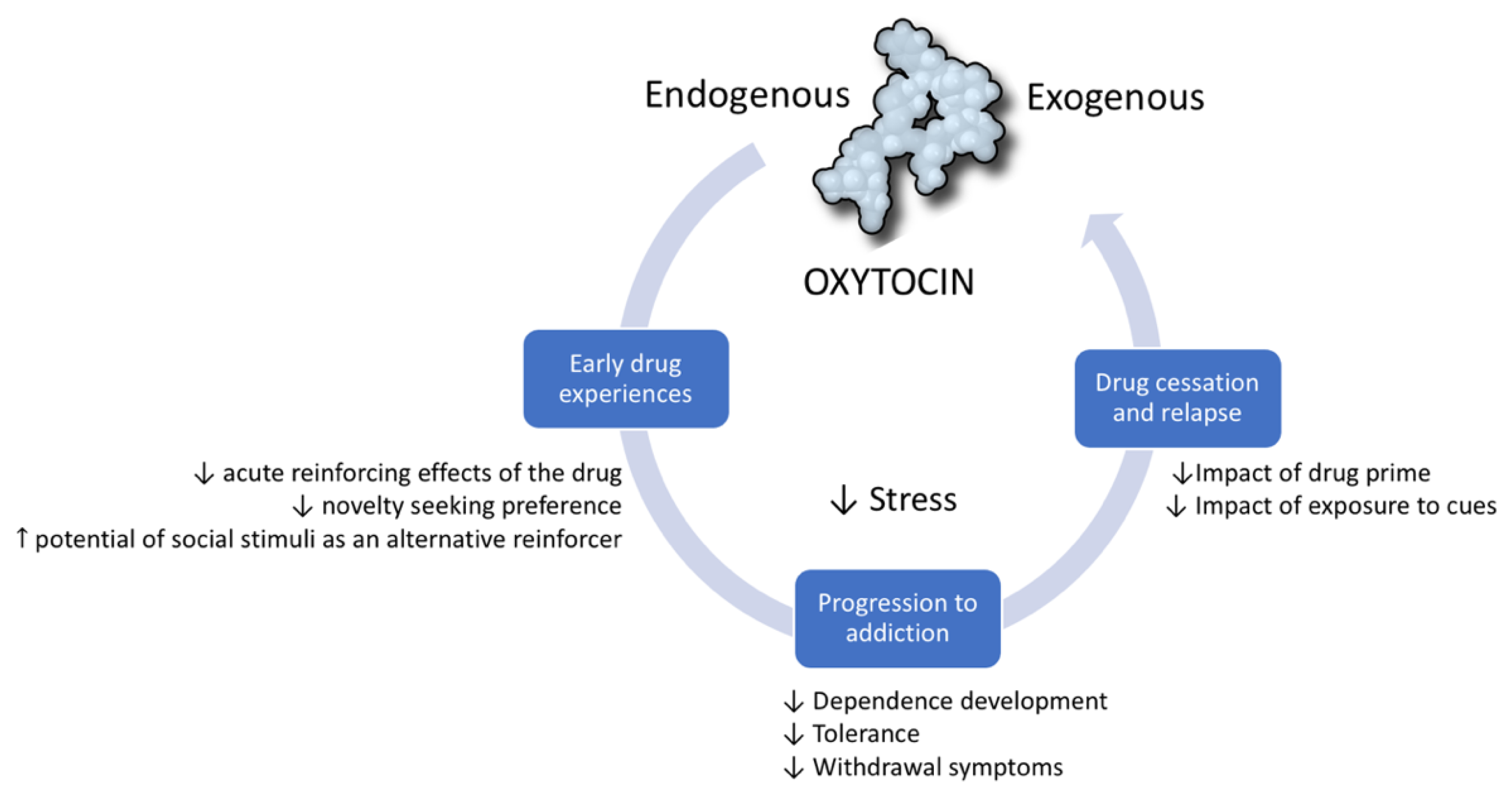 Ijms 22 02372 g001 Ijms 22 02372 g001