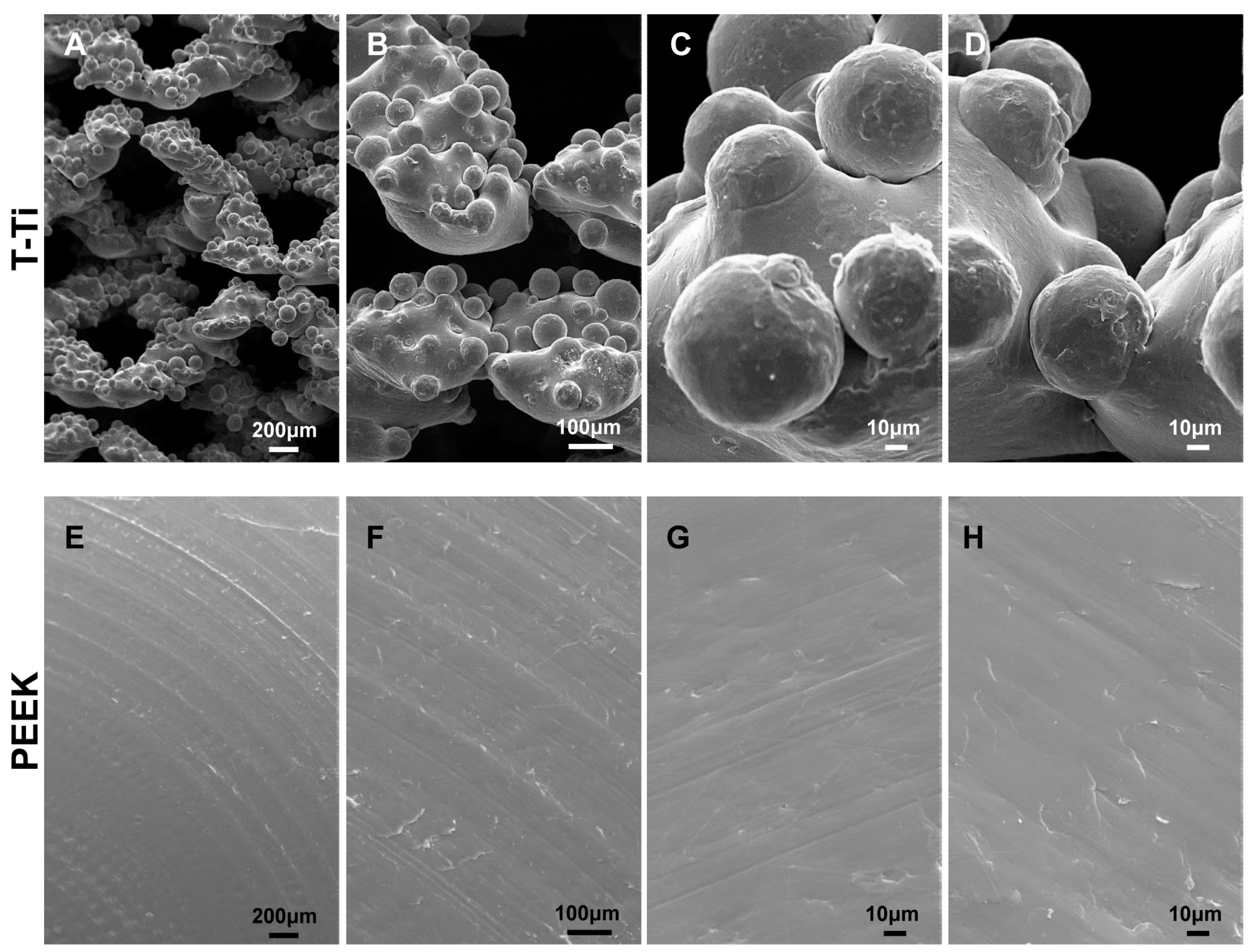 Ijms 22 02379 g002 Ijms 22 02379 g002