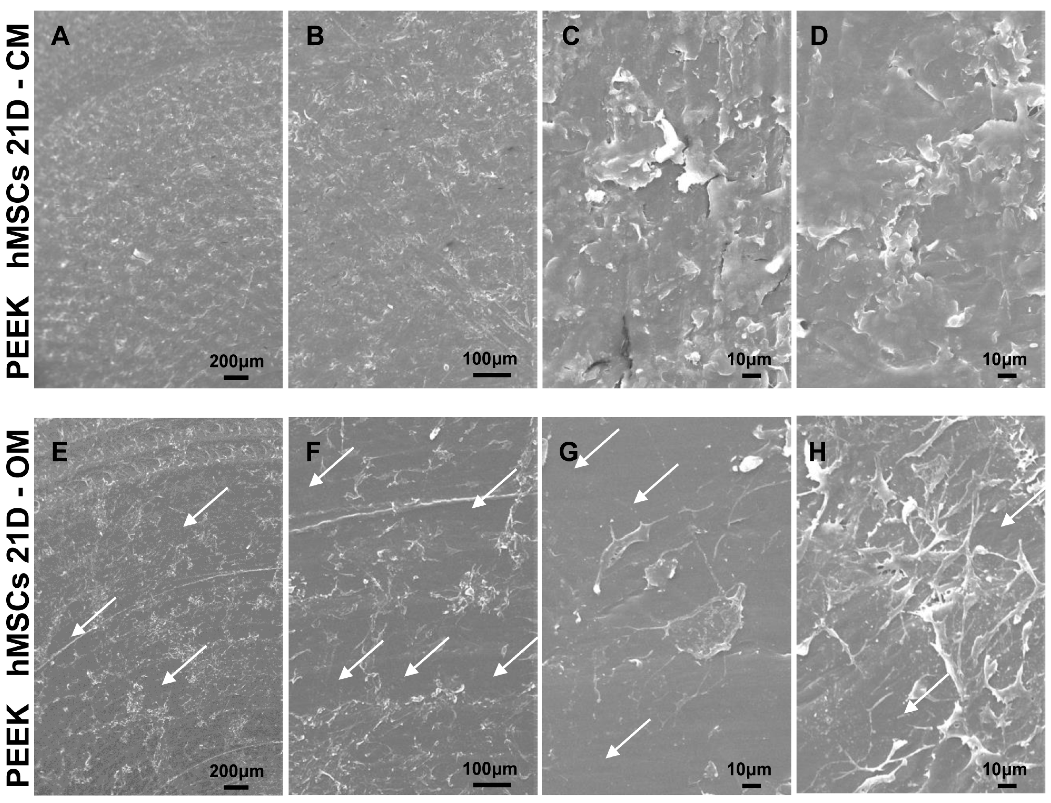 Ijms 22 02379 g005 Ijms 22 02379 g005