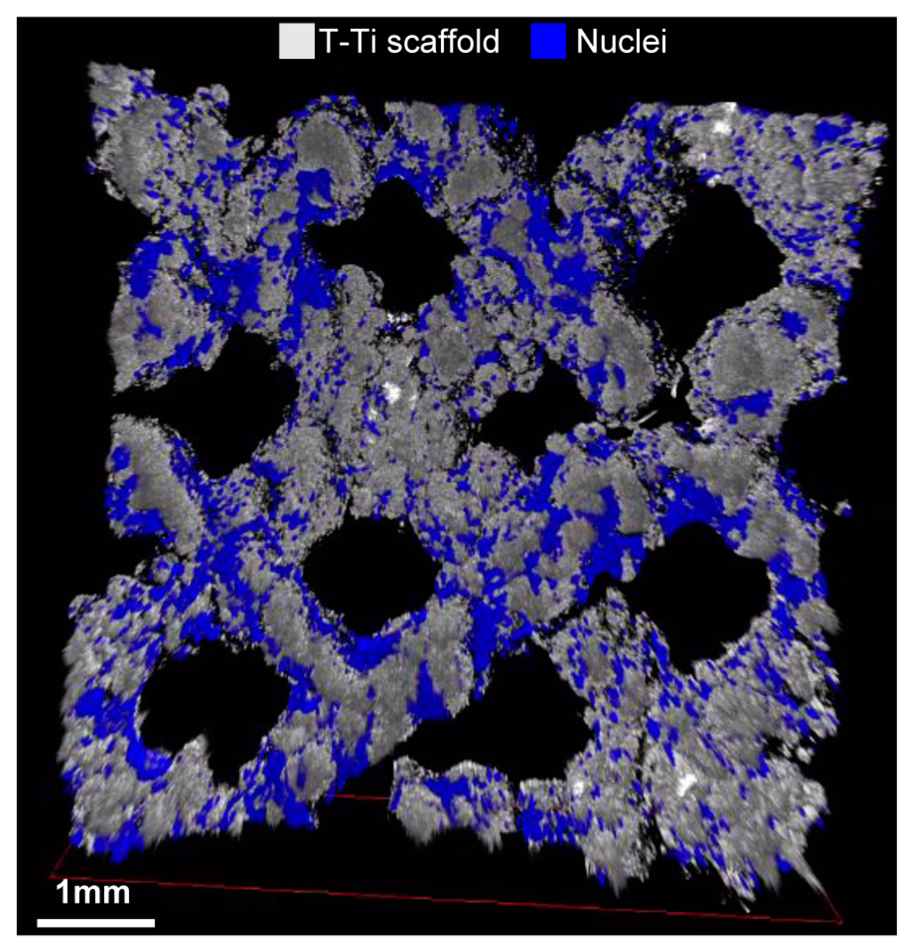 Ijms 22 02379 g006 Ijms 22 02379 g006