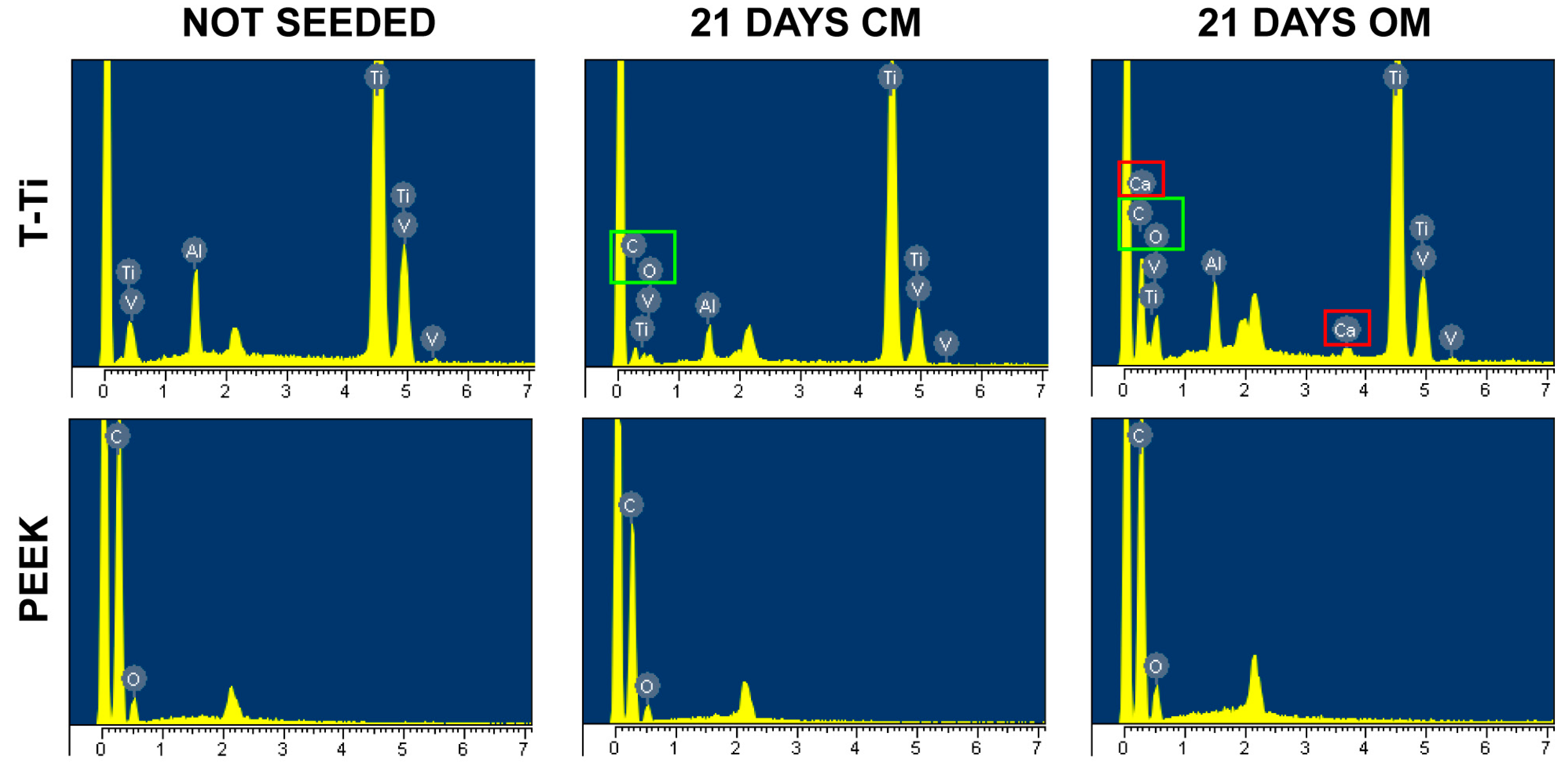 Ijms 22 02379 g009 Ijms 22 02379 g009