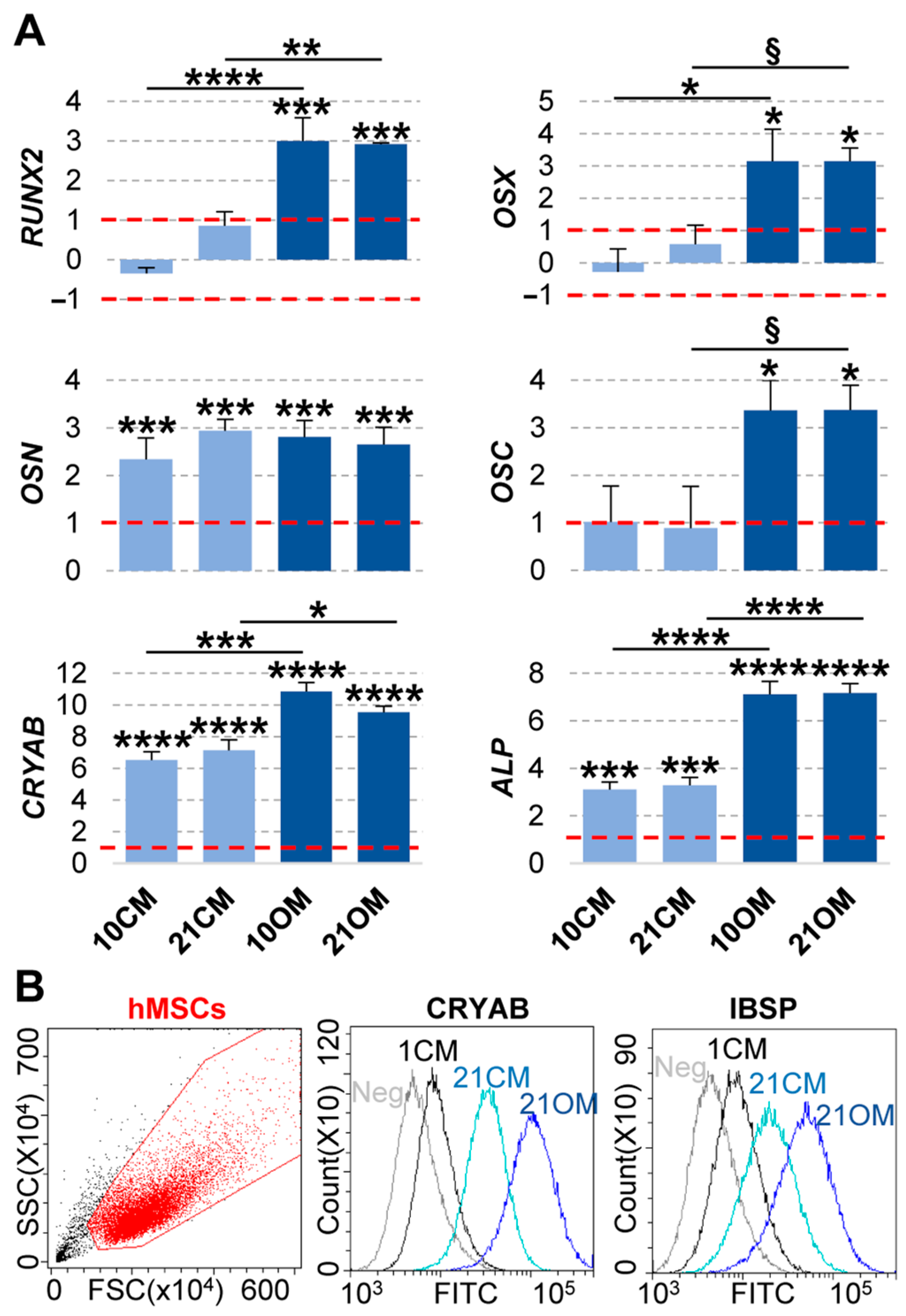 Ijms 22 02379 g010 Ijms 22 02379 g010