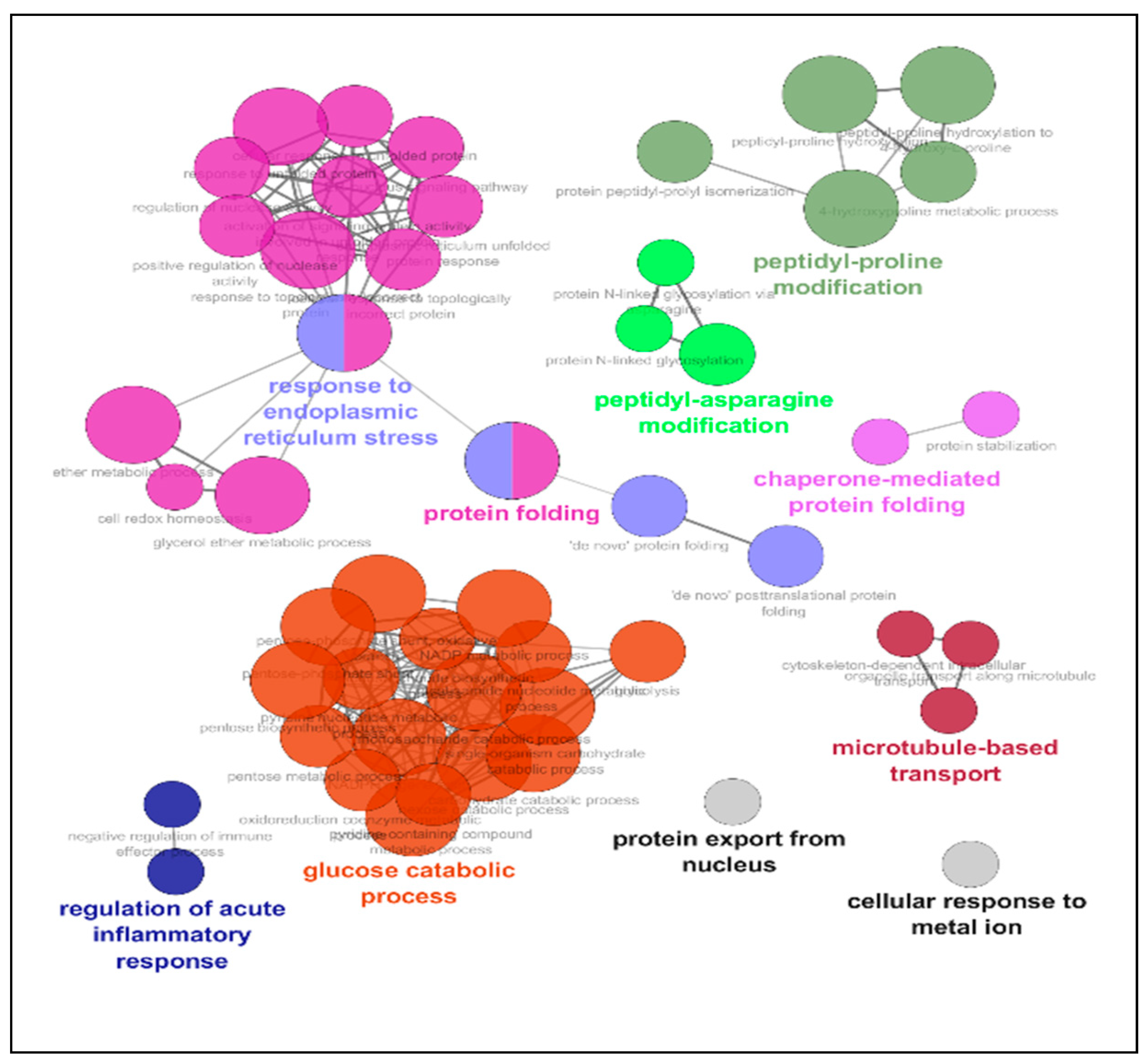Ijms 22 02384 g003 Ijms 22 02384 g003