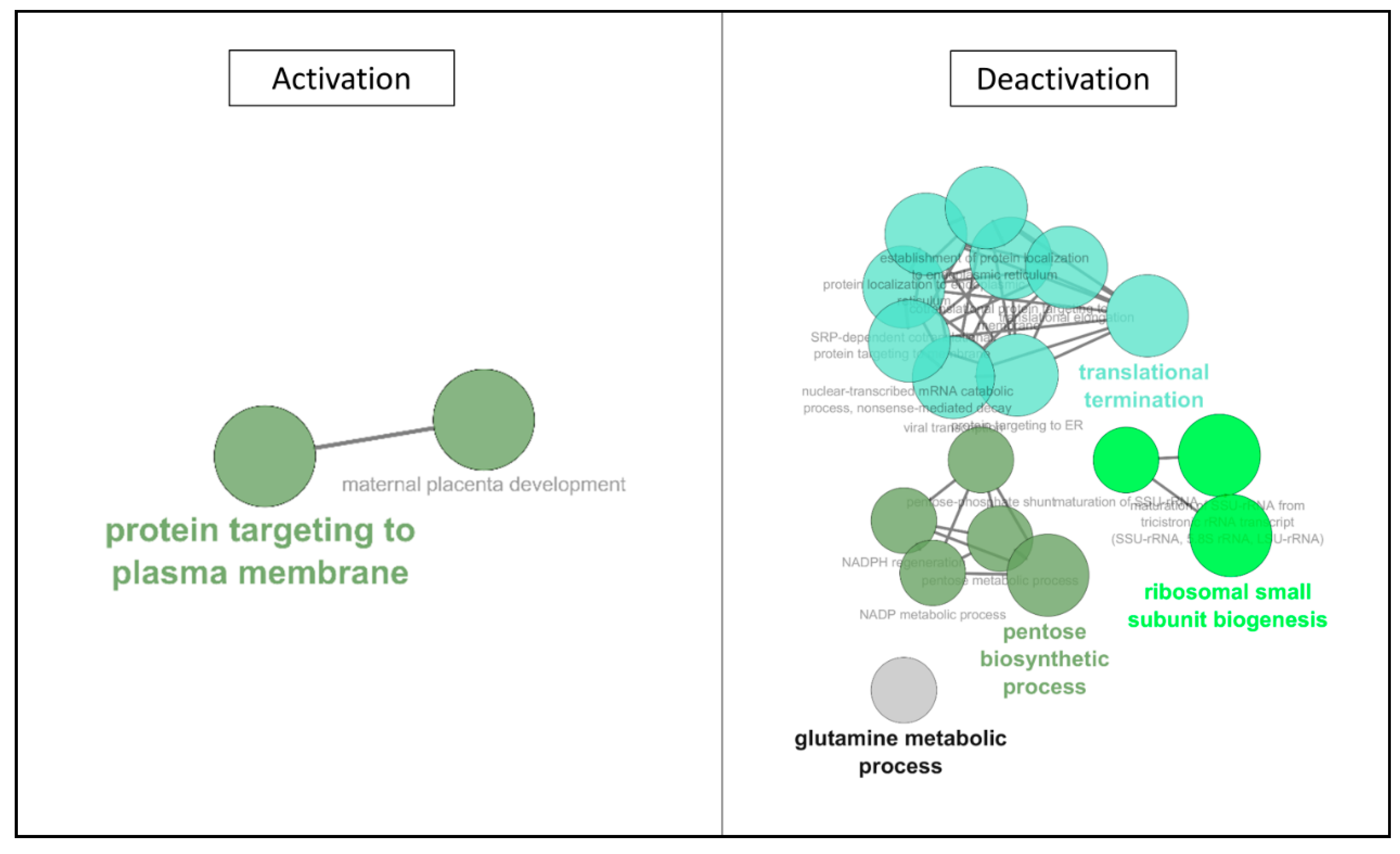 Ijms 22 02384 g006 Ijms 22 02384 g006