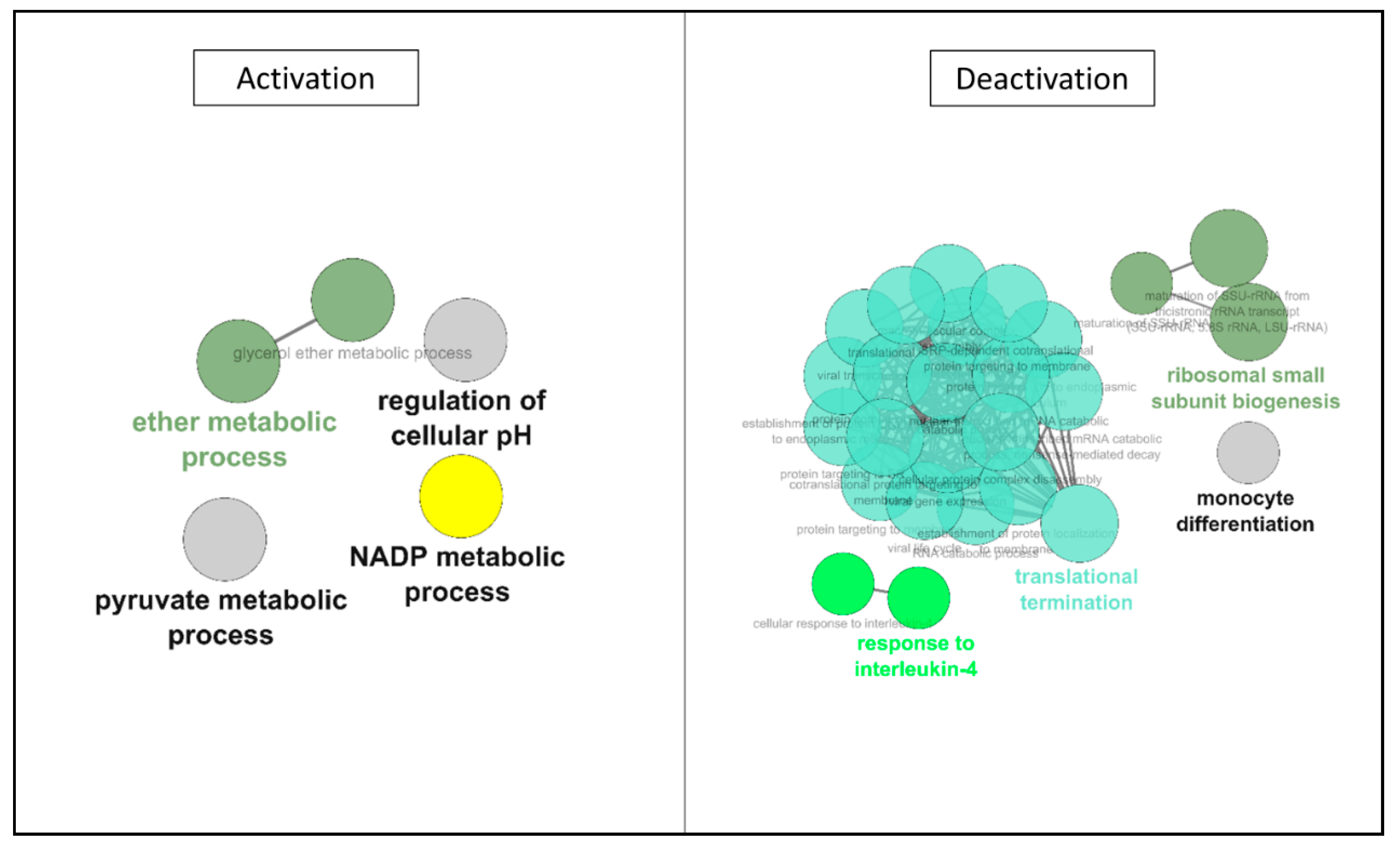 Ijms 22 02384 g007 Ijms 22 02384 g007