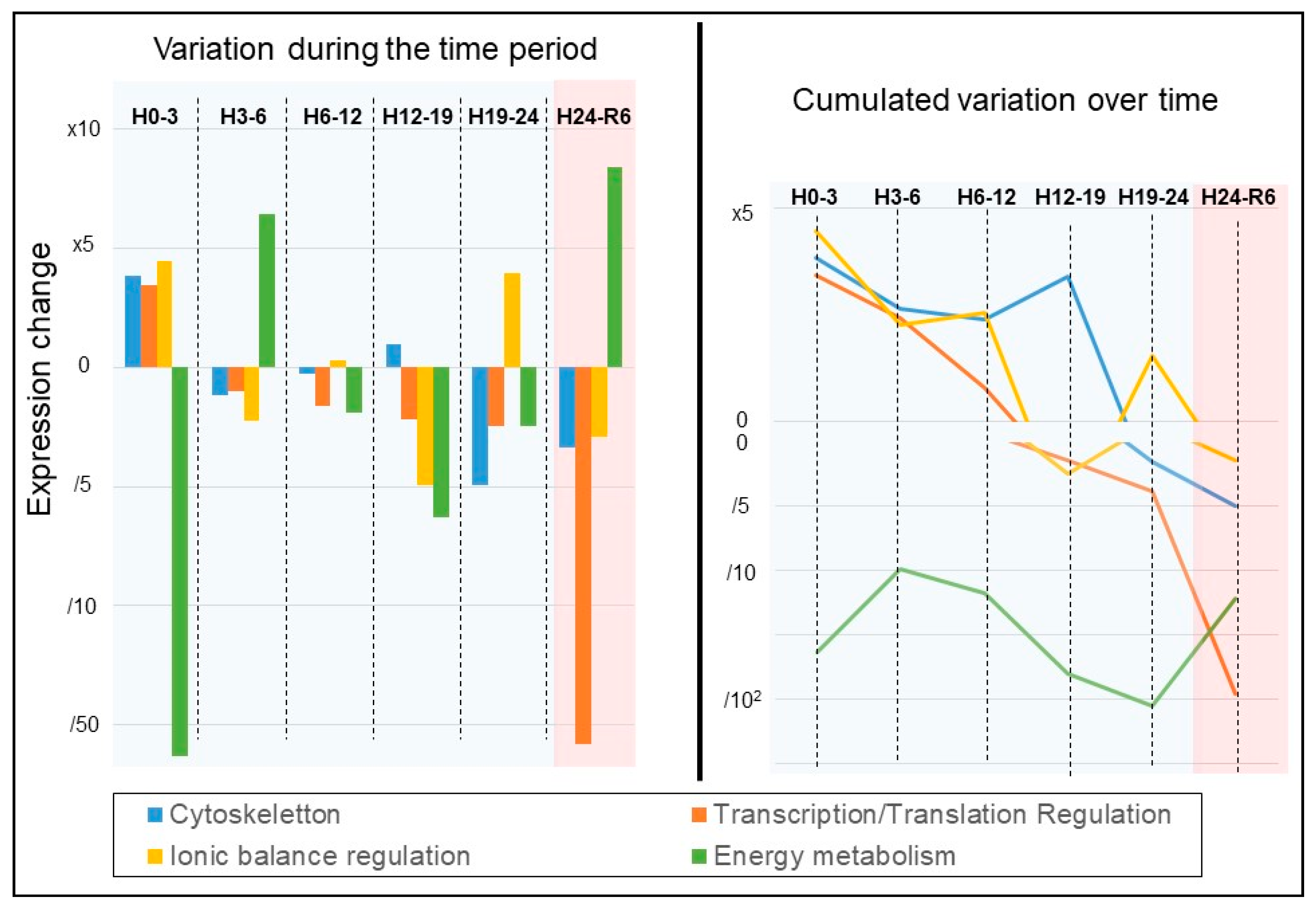 Ijms 22 02384 g008 Ijms 22 02384 g008