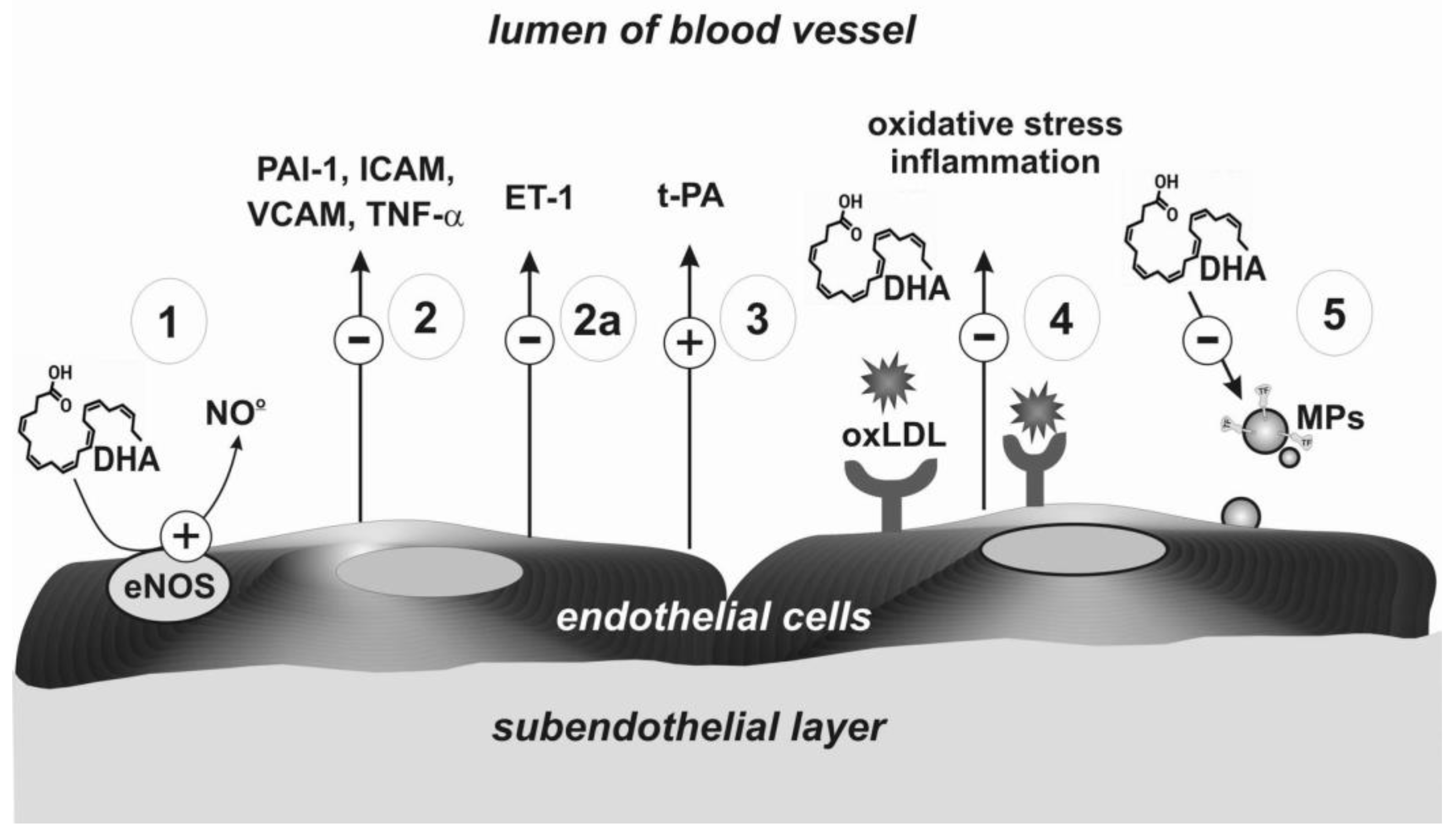 Ijms 22 02394 g003 Ijms 22 02394 g003
