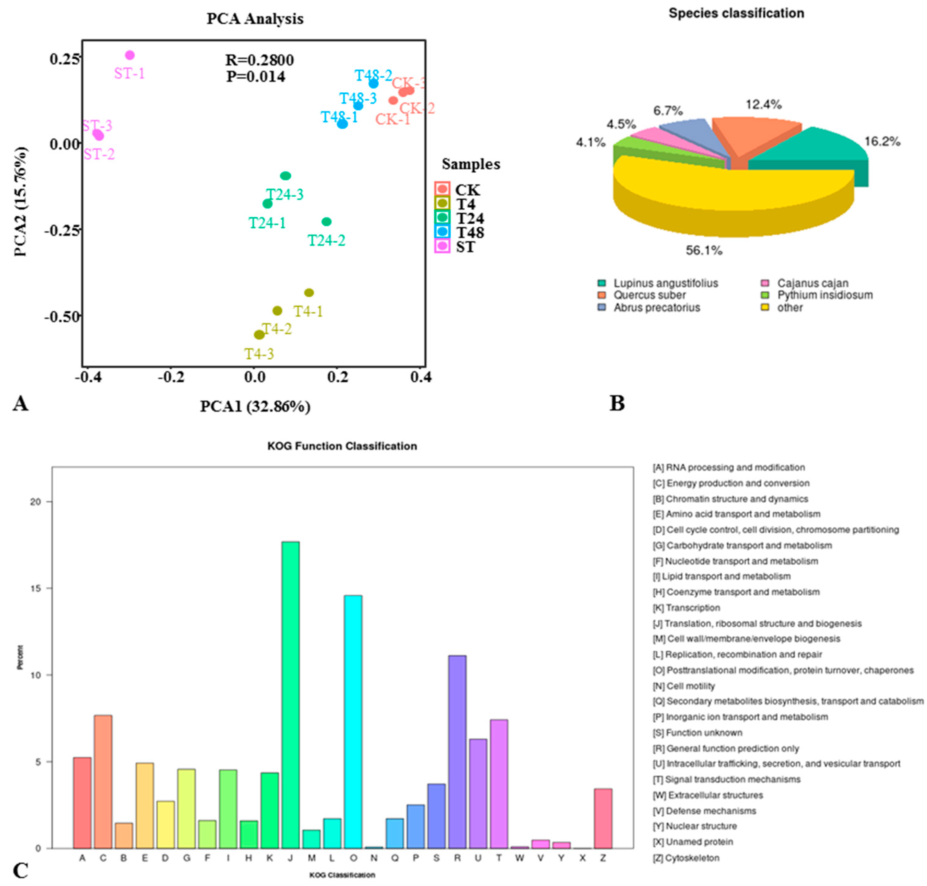 Ijms 22 02399 g002 Ijms 22 02399 g002