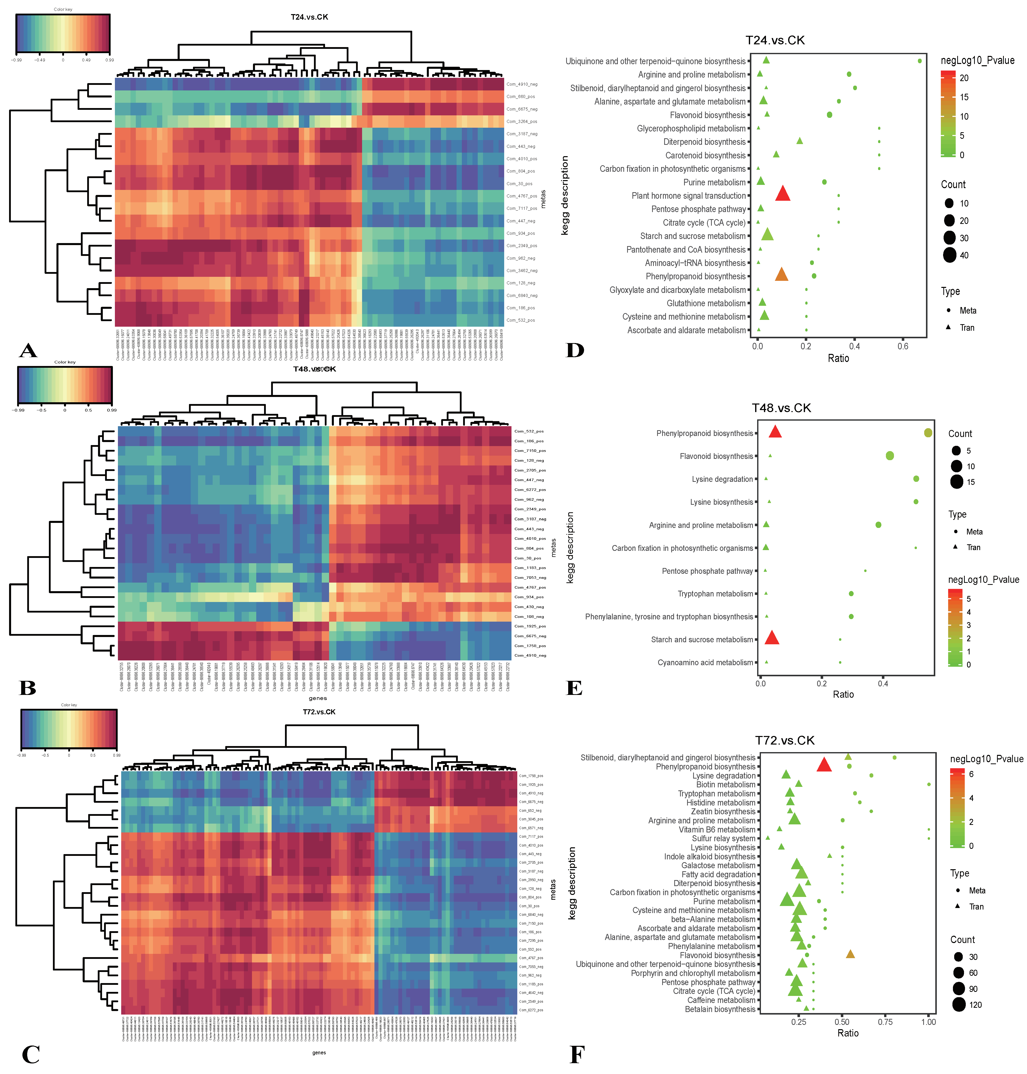 Ijms 22 02399 g005 Ijms 22 02399 g005