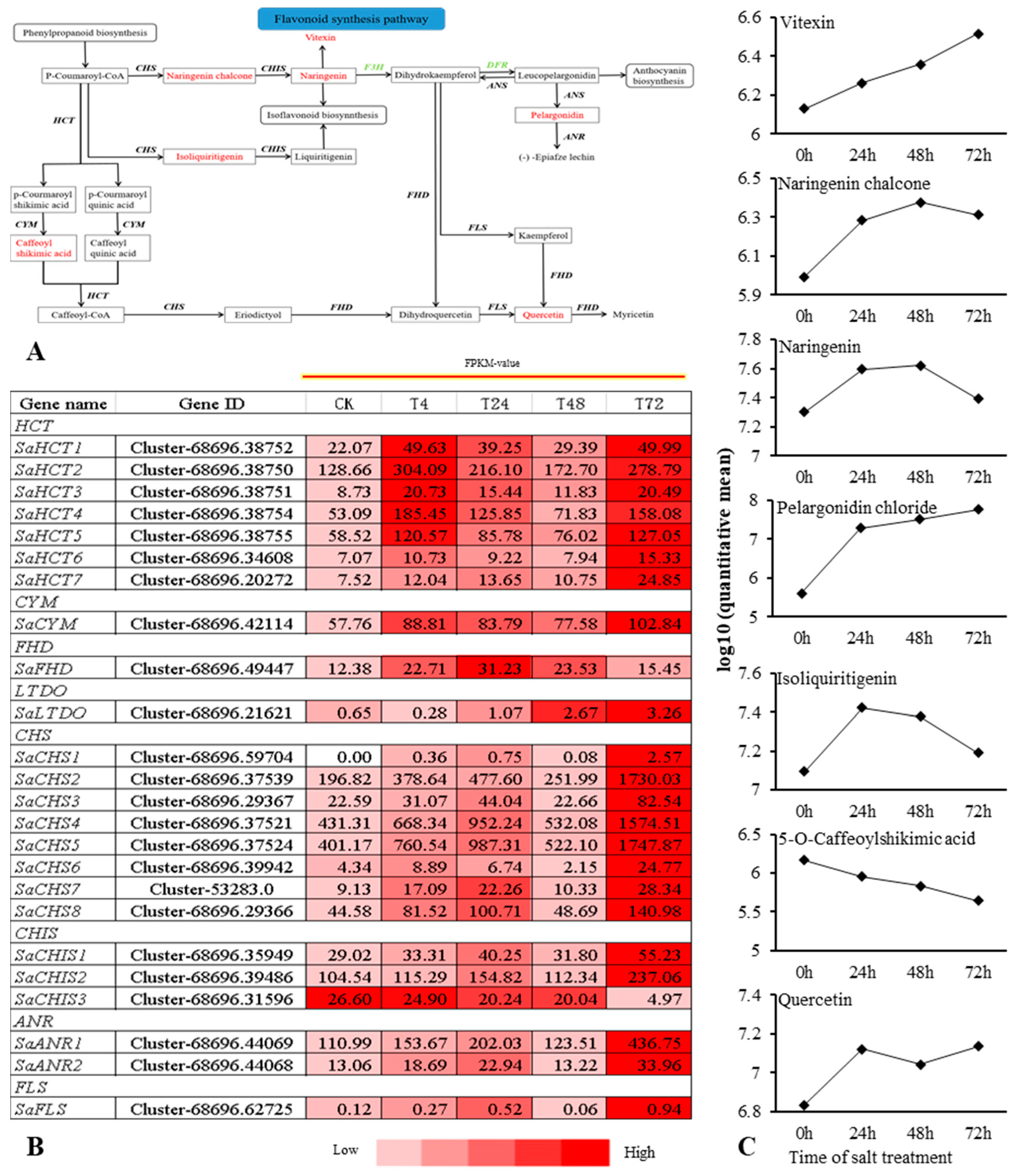 Ijms 22 02399 g007 Ijms 22 02399 g007
